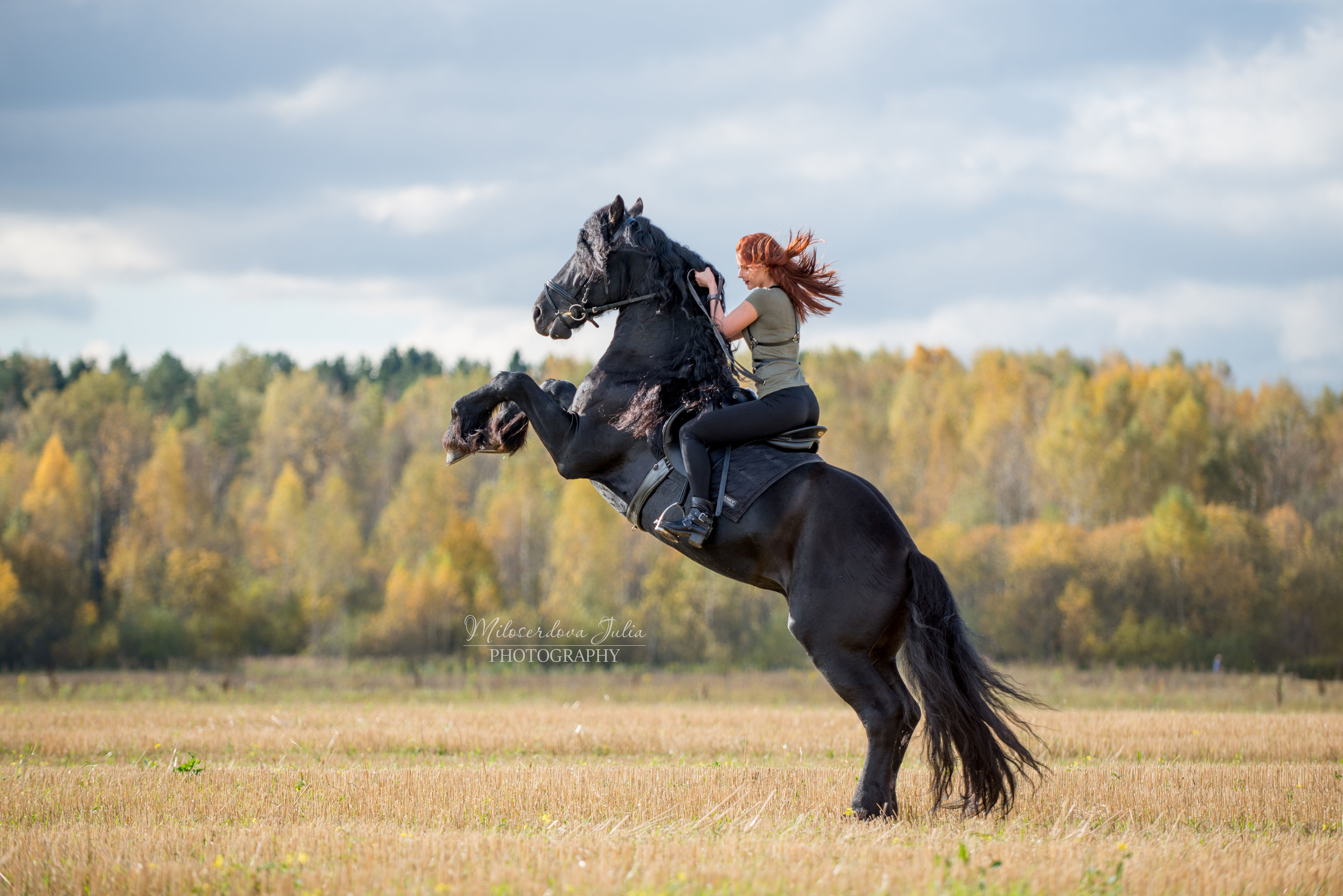 Фотосессии с лошадьми. Фотограф Юлия Милосердова