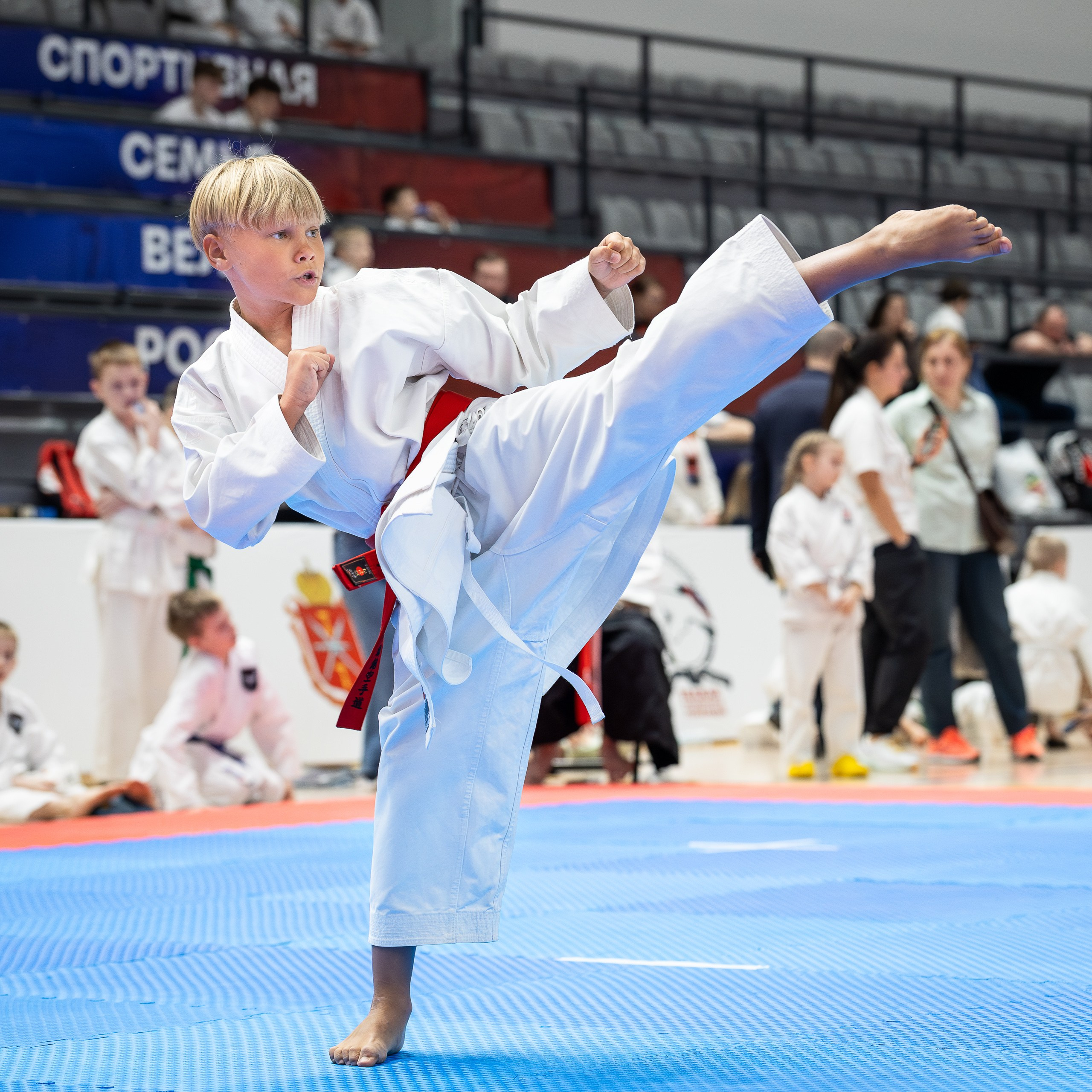 Чемпионат и Первенство России по Фудокан каратэ. Свадебная фотосъёмка в Москве, Туле