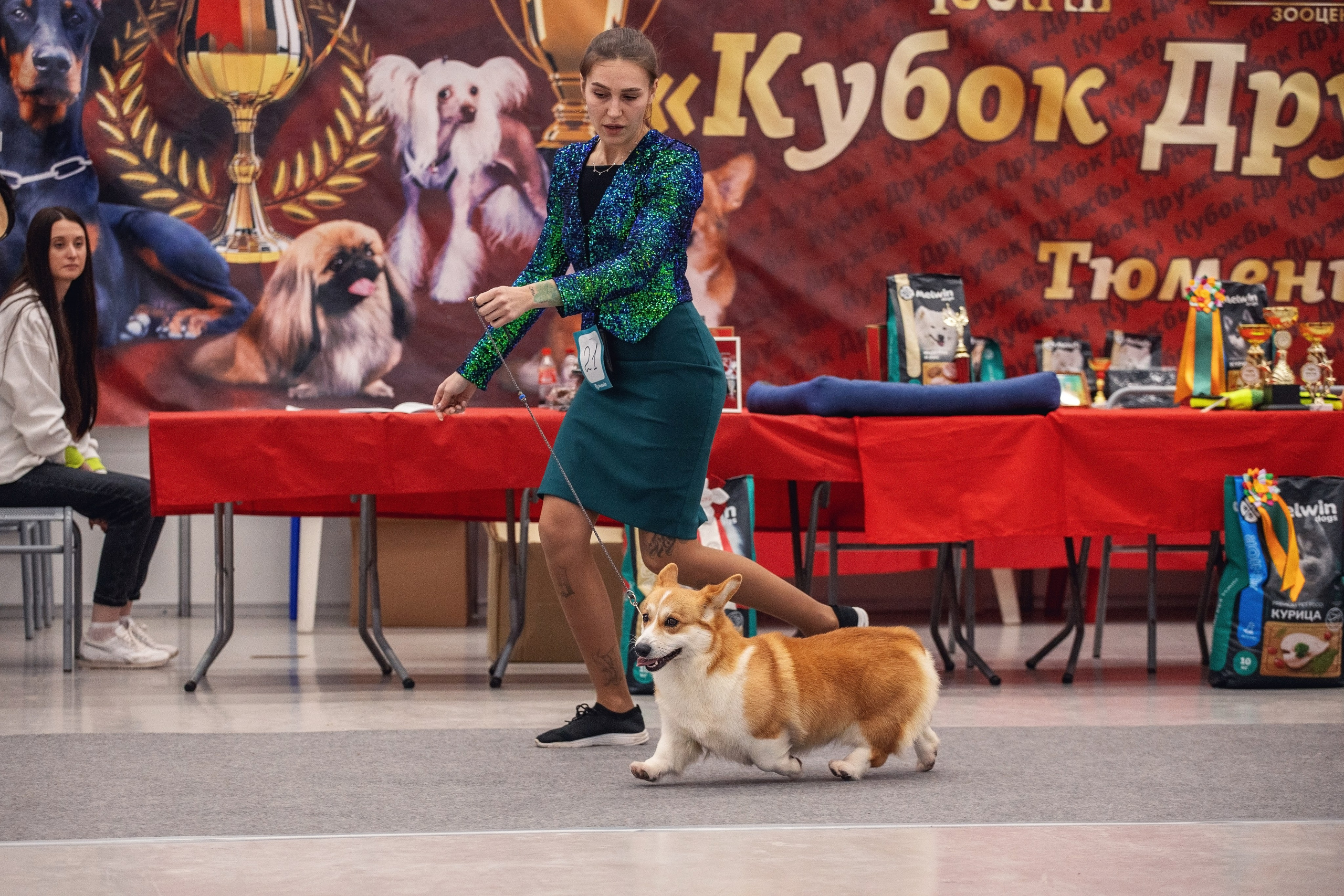 20.01. 2024 Тюмень. YULA KOLESOVA | Фотограф — Анималист | Художник | Тюмень