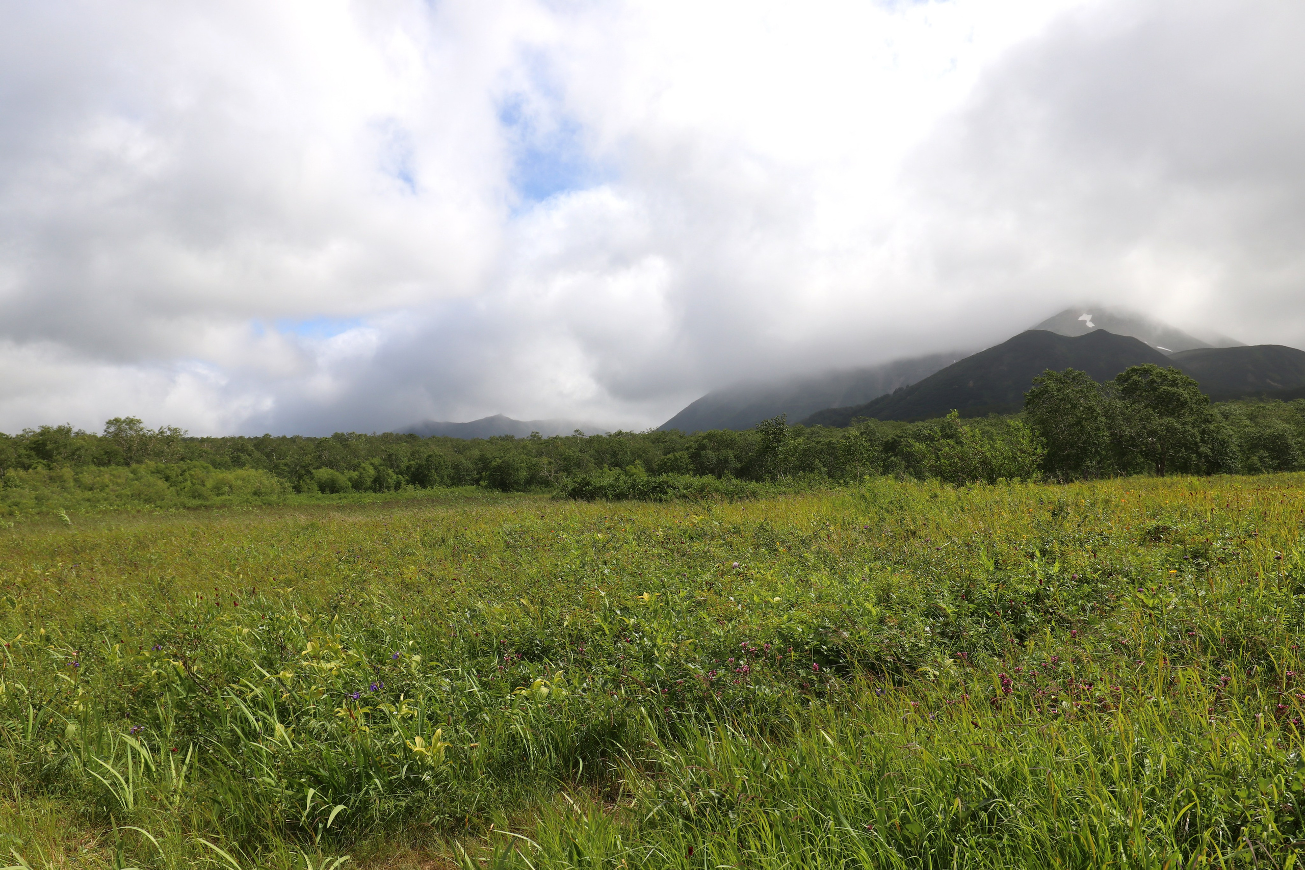 Камчатка и о. Парамушир. Июль 2024. Путешественник-фотограф из Санкт-Петербурга Татьяна Свистулина