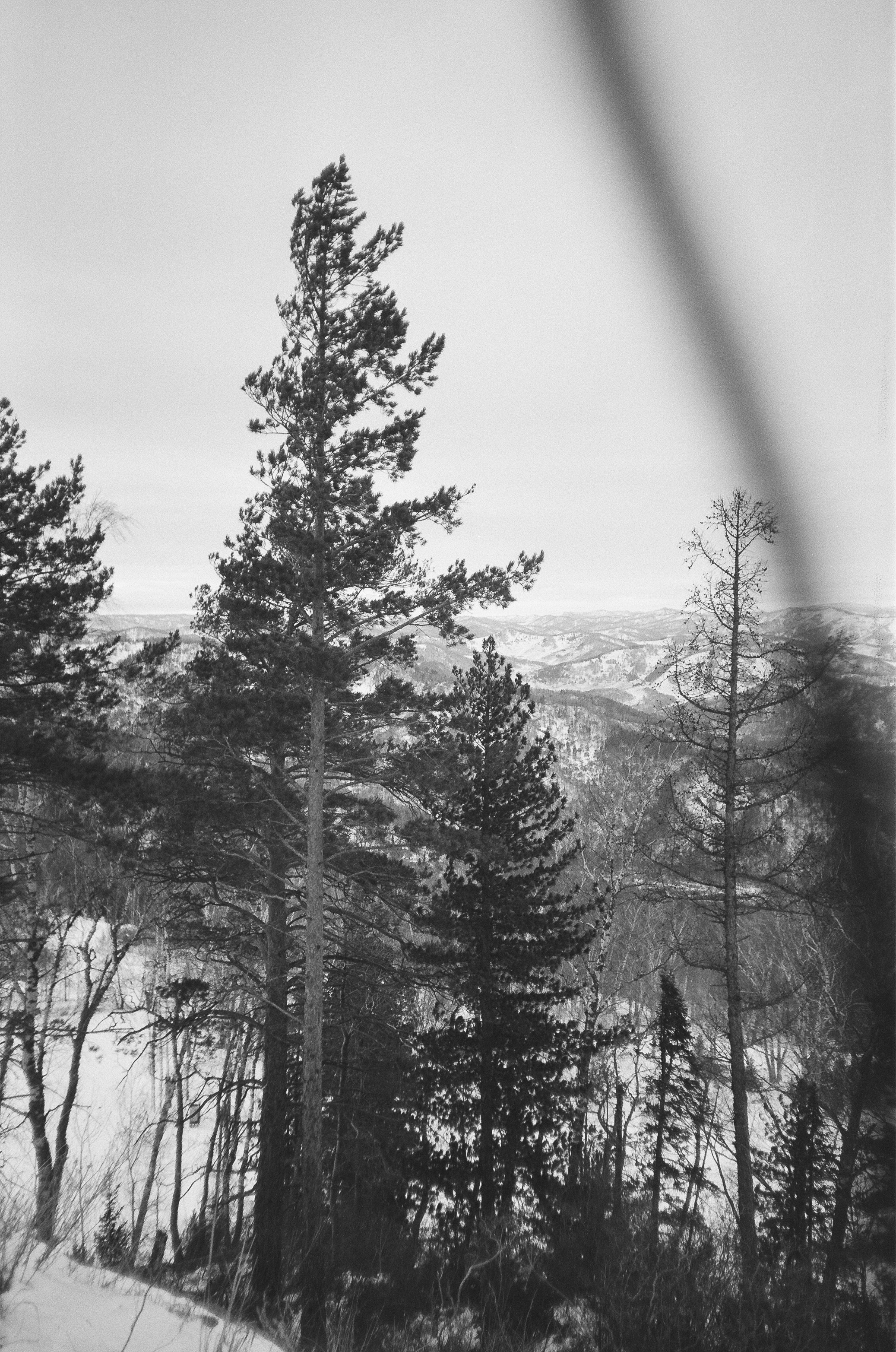 Горный курорт Манжерок в Новый Год. Фотограф-документалист Мария Осокина