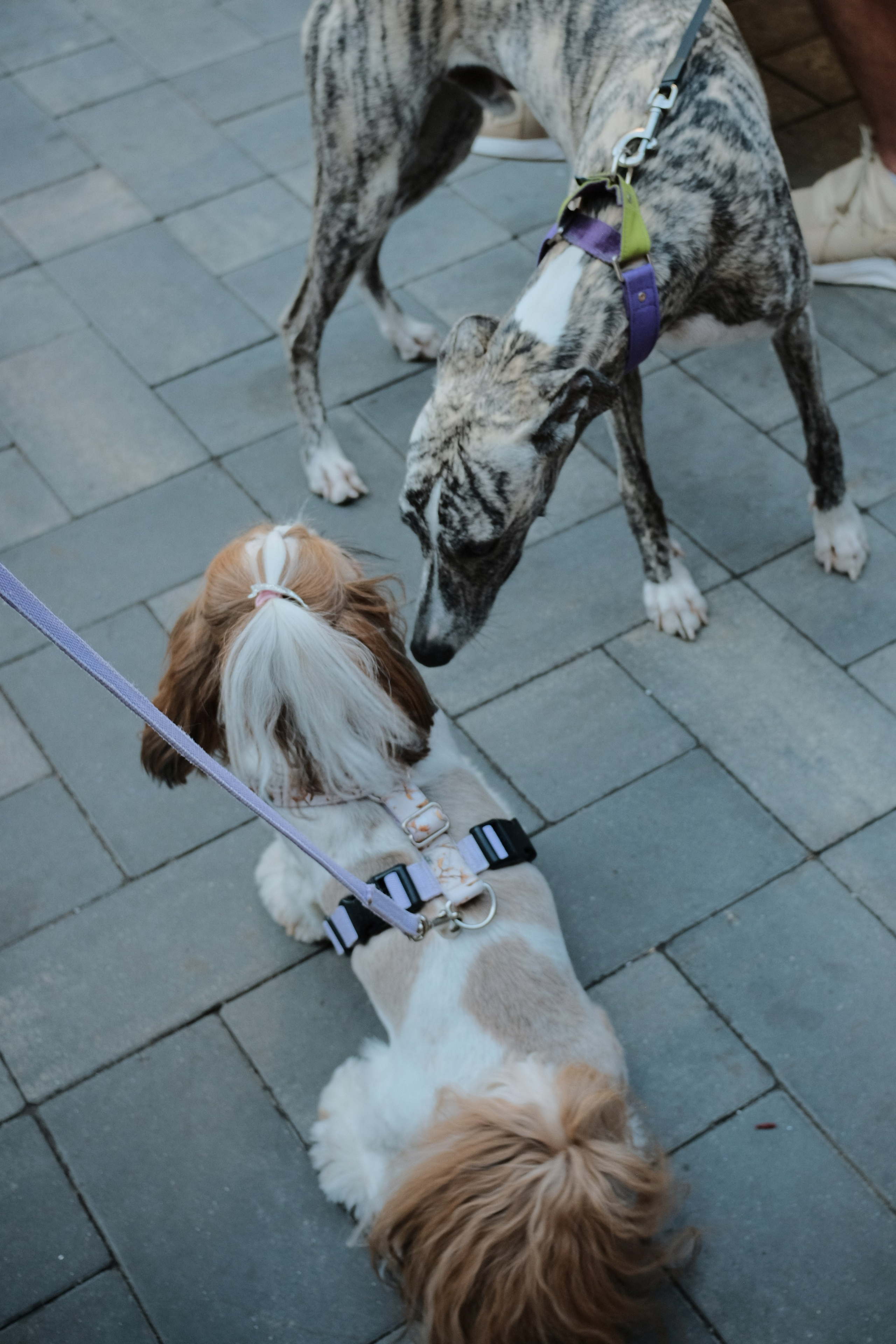 Rostov-on-Don. Creative travel photographer — Berg Daria