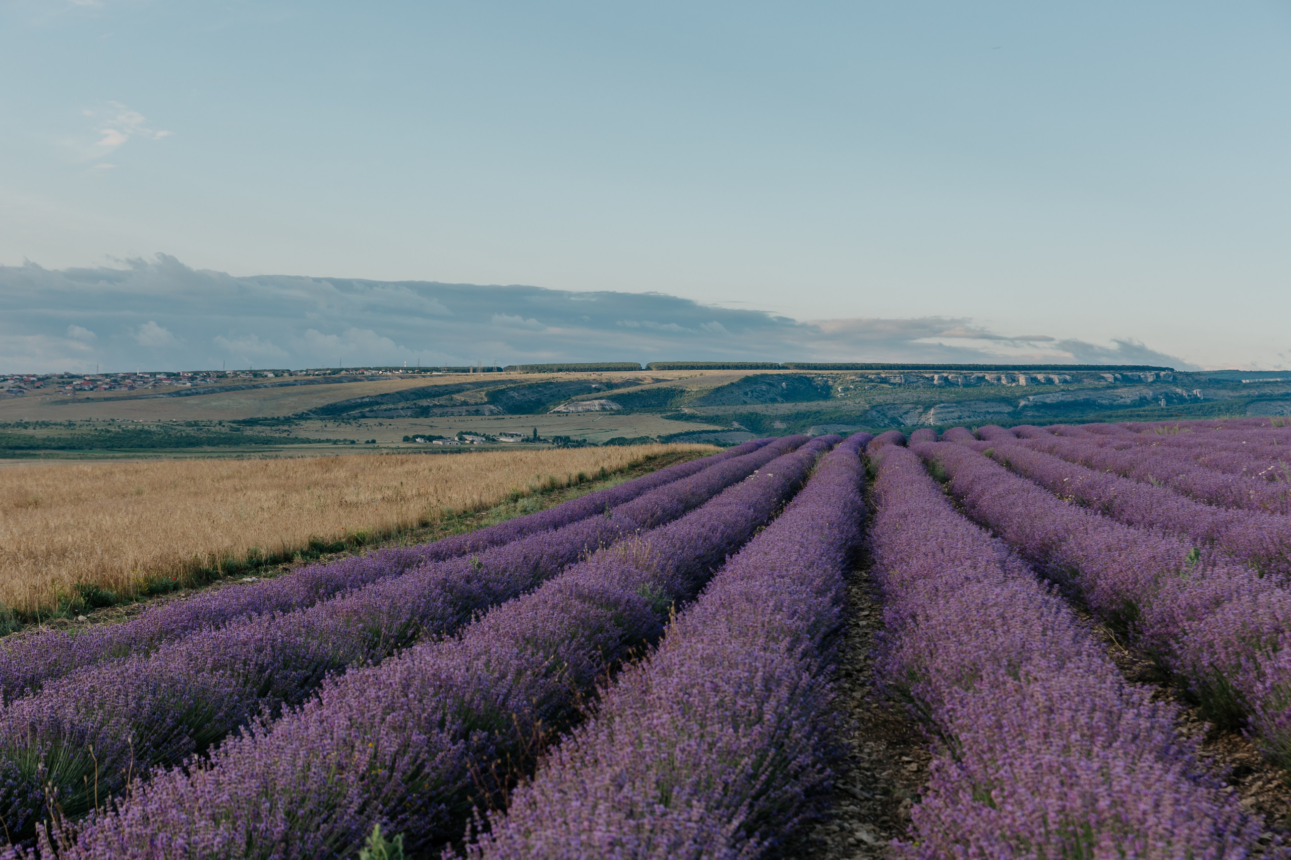 Заповедный Крым, Республика Крым. Репортажный фотограф в Крыму Ксения Гасица