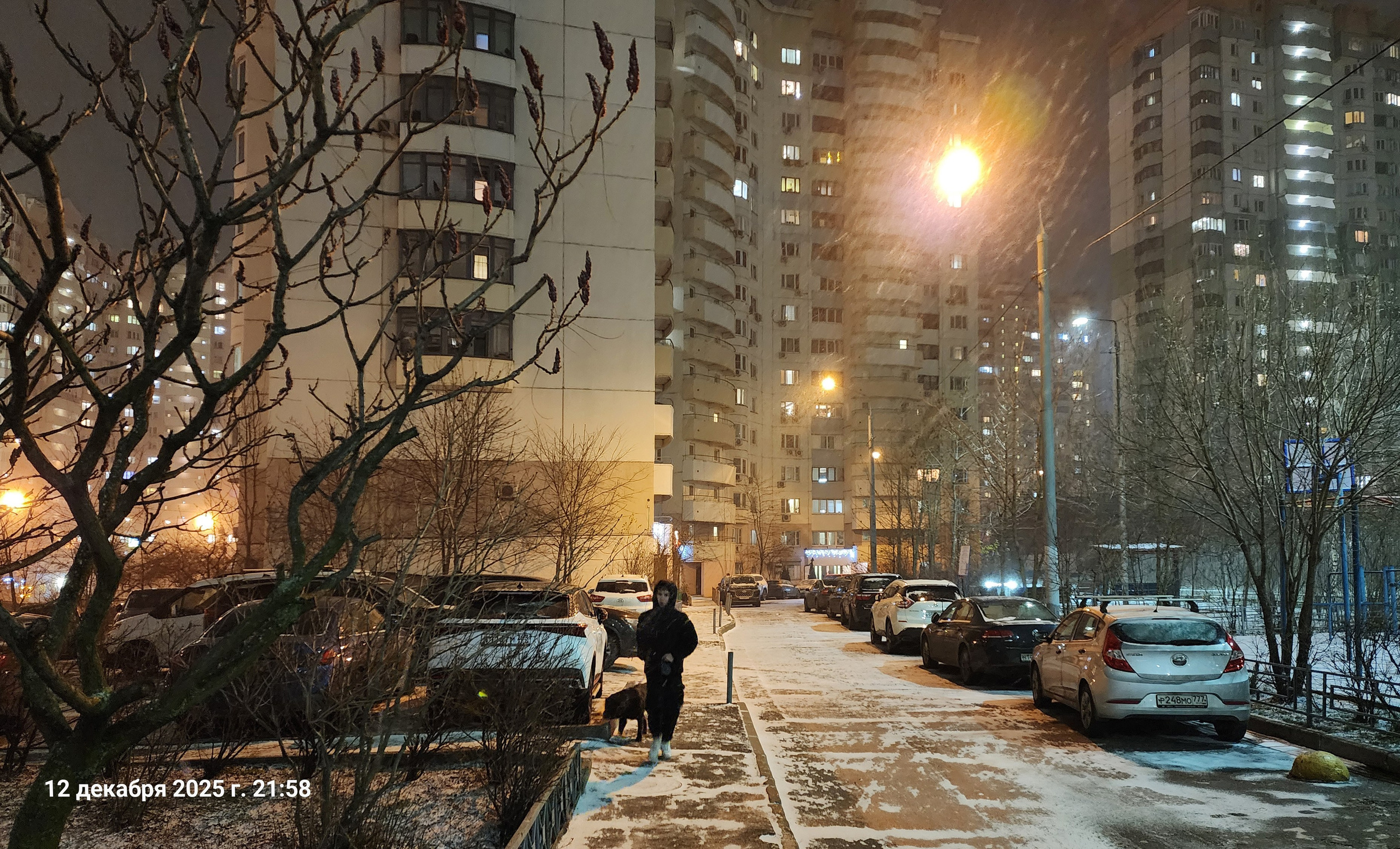 В середине декабря внезапно пришла зима. Собор Отрасли