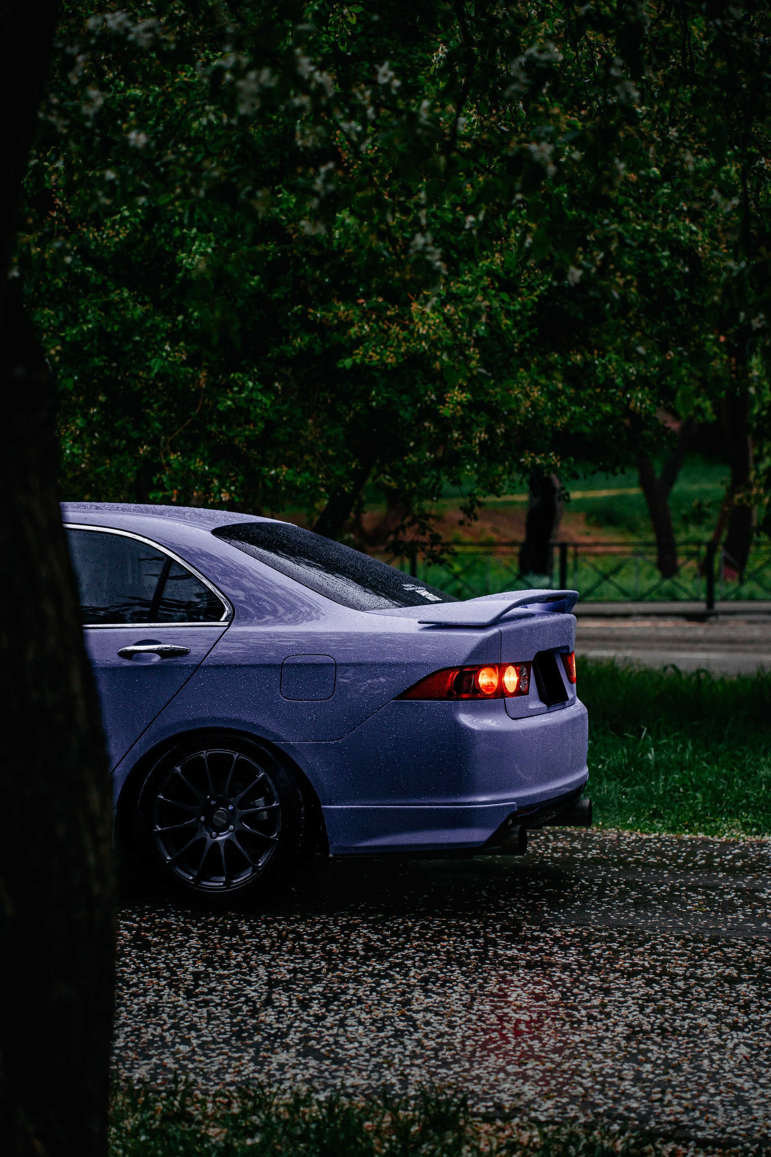 Honda Accord. Фотограф, видеограф и пилот дрона на Байкале