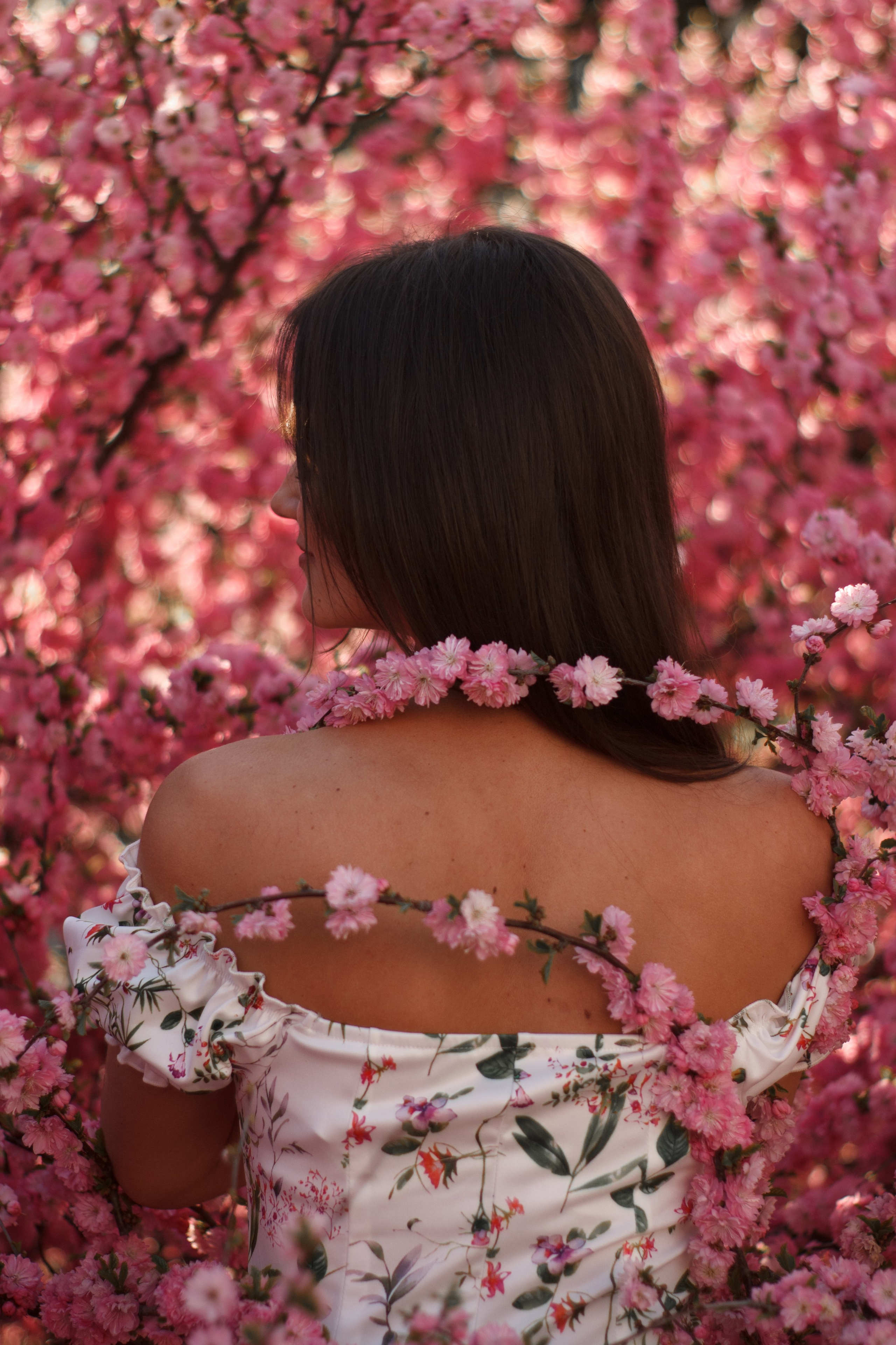 Съёмки в цветении. Медиа-продюсер и фотограф Сорокина Кристина г. Благовещенск