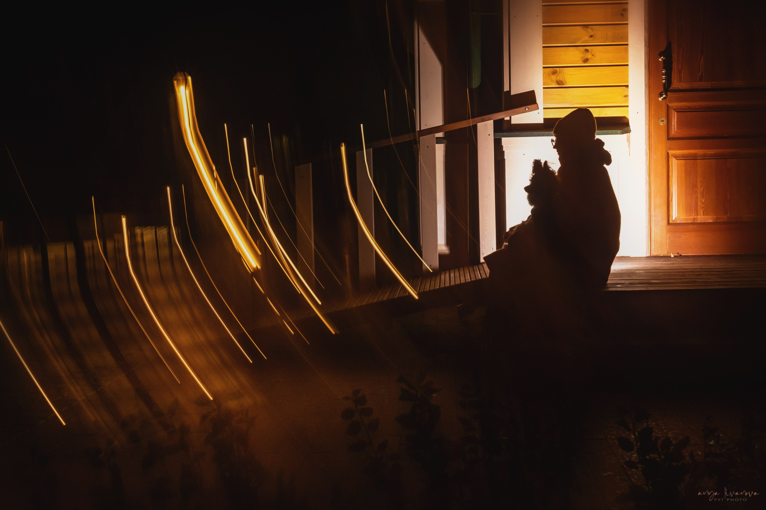 Хьюстон. Фотограф анималист Аня Ливанова | Рыбинск