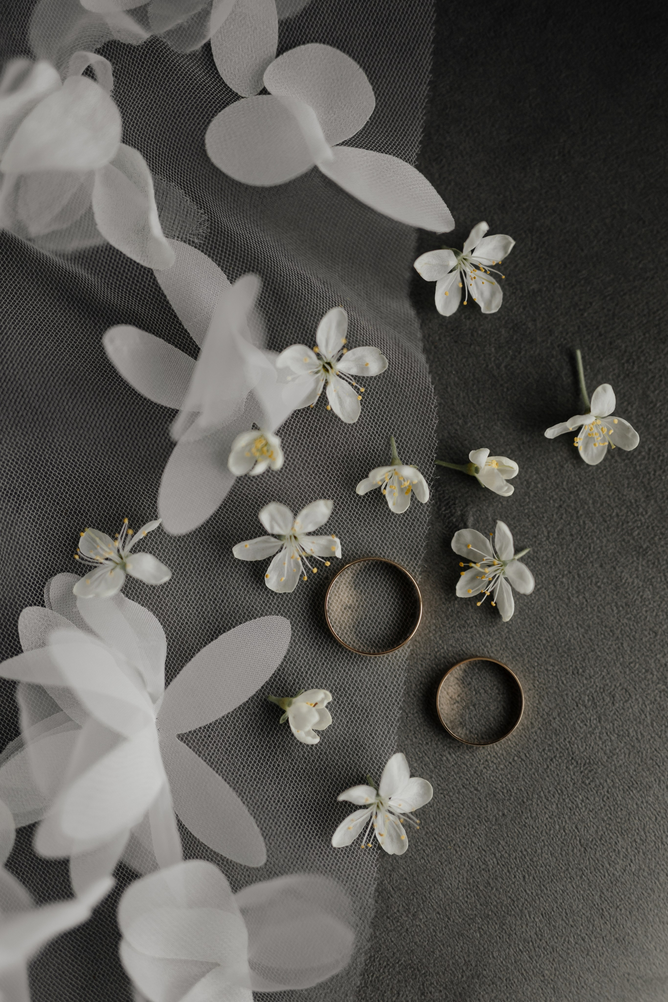 Свадьба Александра и Алены. Фотограф Кольчугино/Владимир/Москва Елизавета Иода