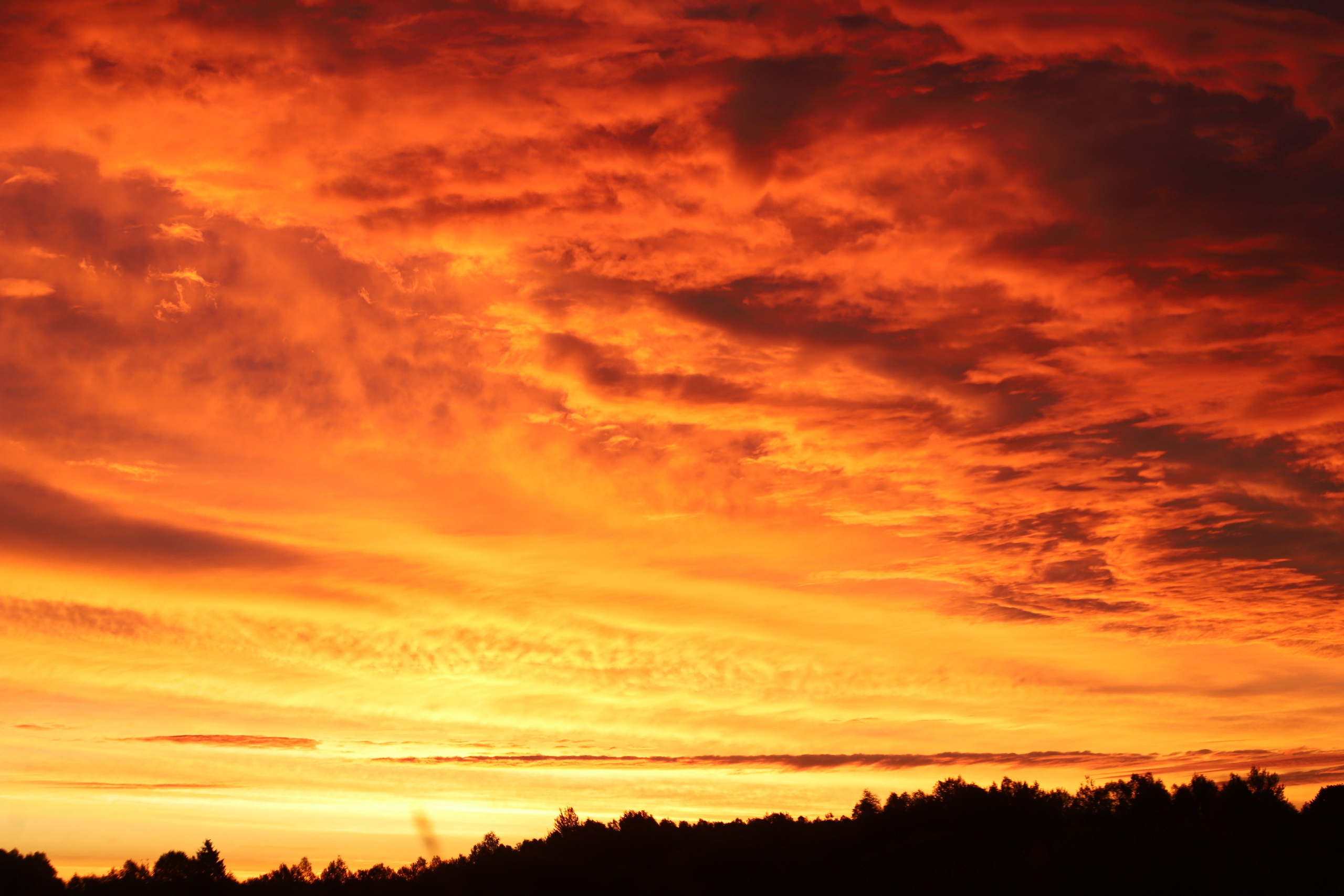 Природа. Фотограф Ольга Мурзина