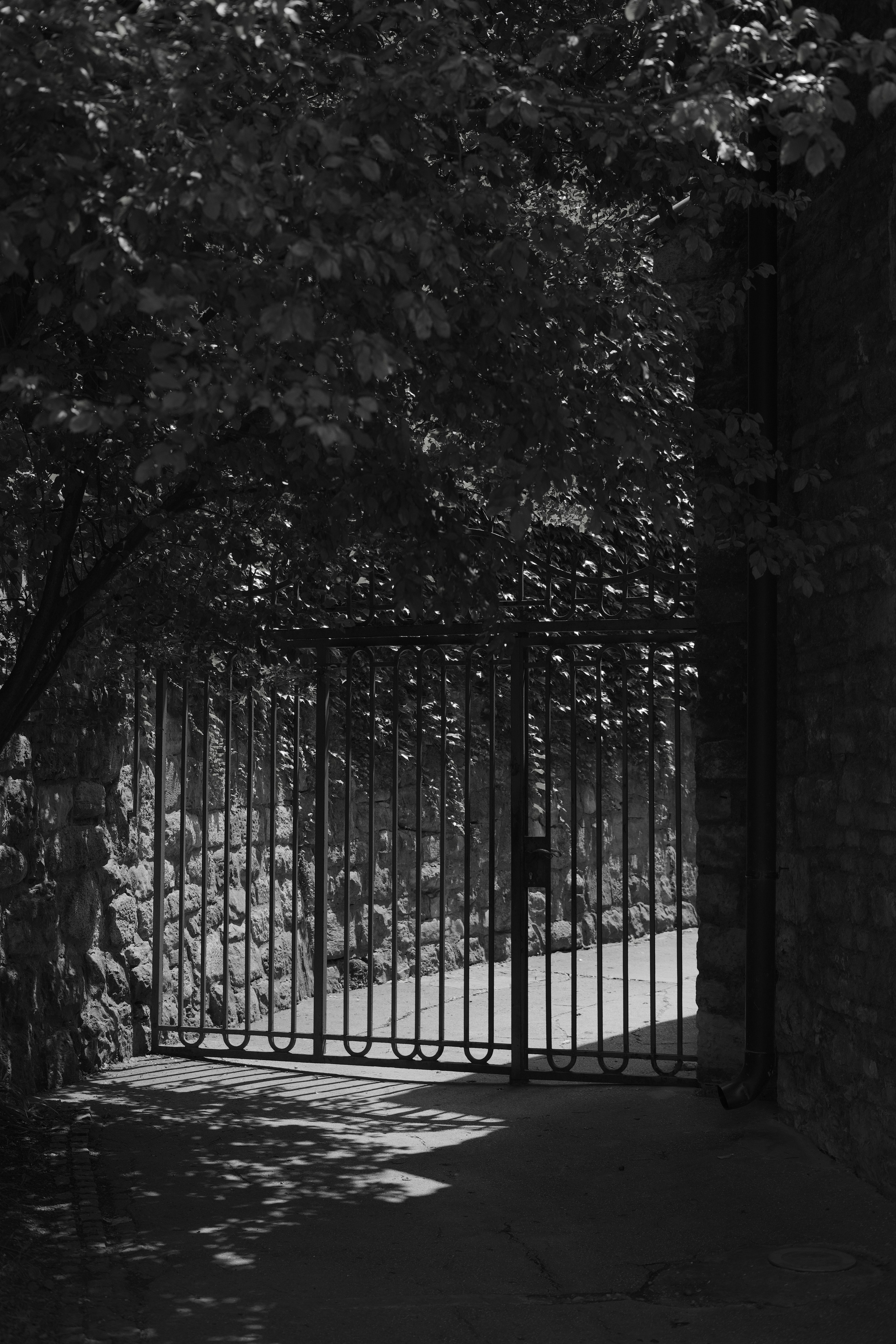 Print it. Visual art from artist Anna Butyrskaia for families and individuals