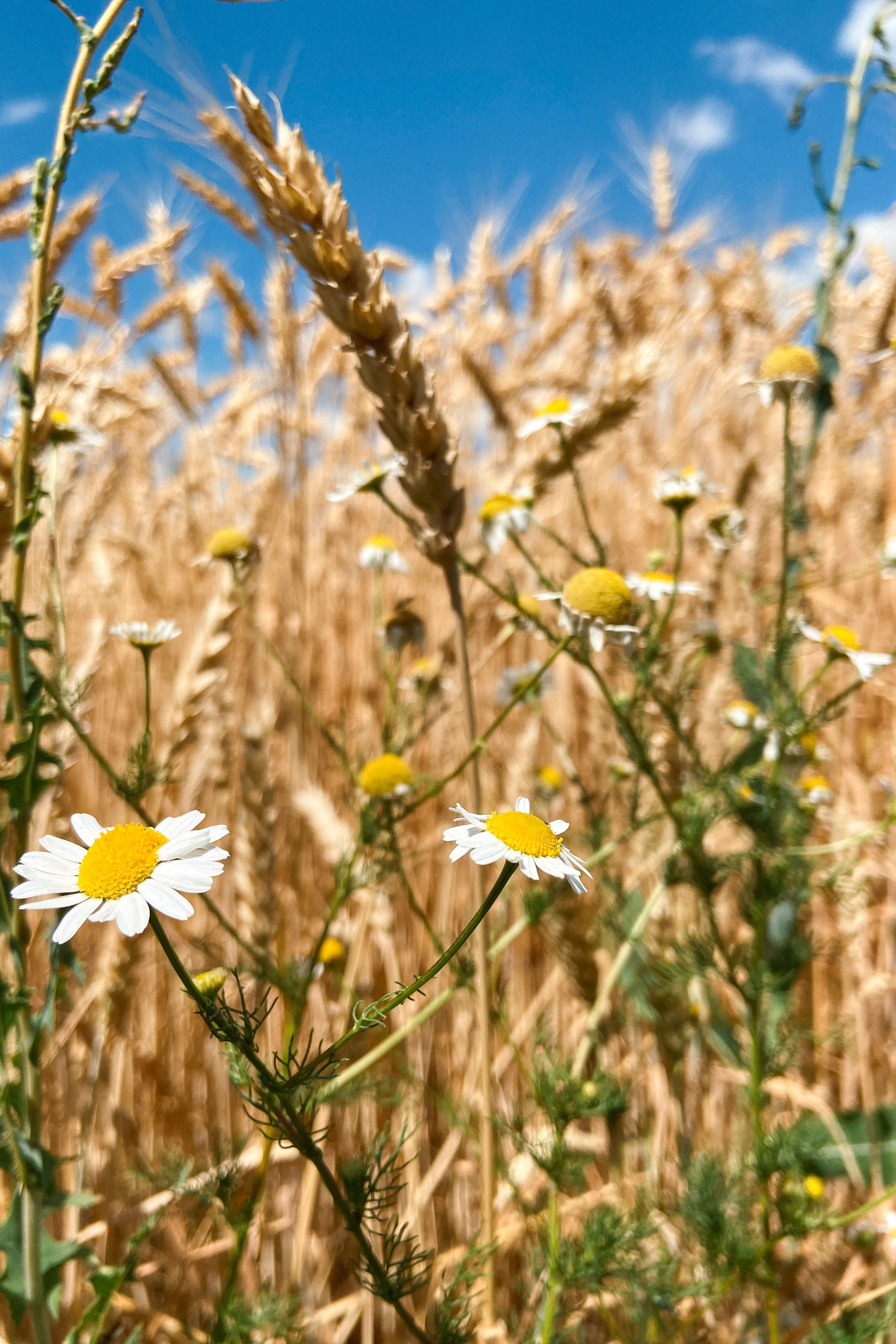 Природа. Команда фотографов Кристины Ивановой