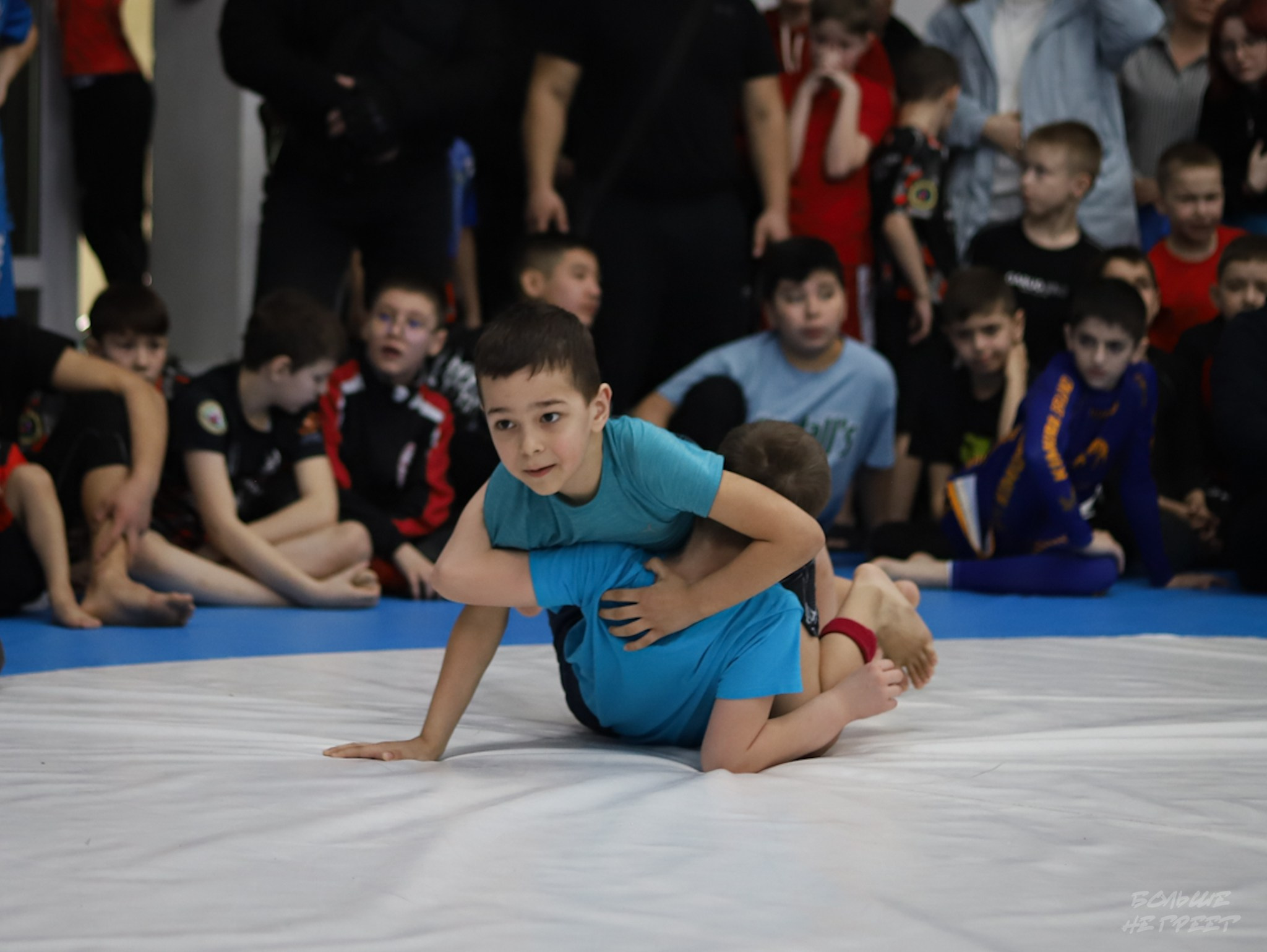 GORILLA PRIDE CUP. Больше не греет