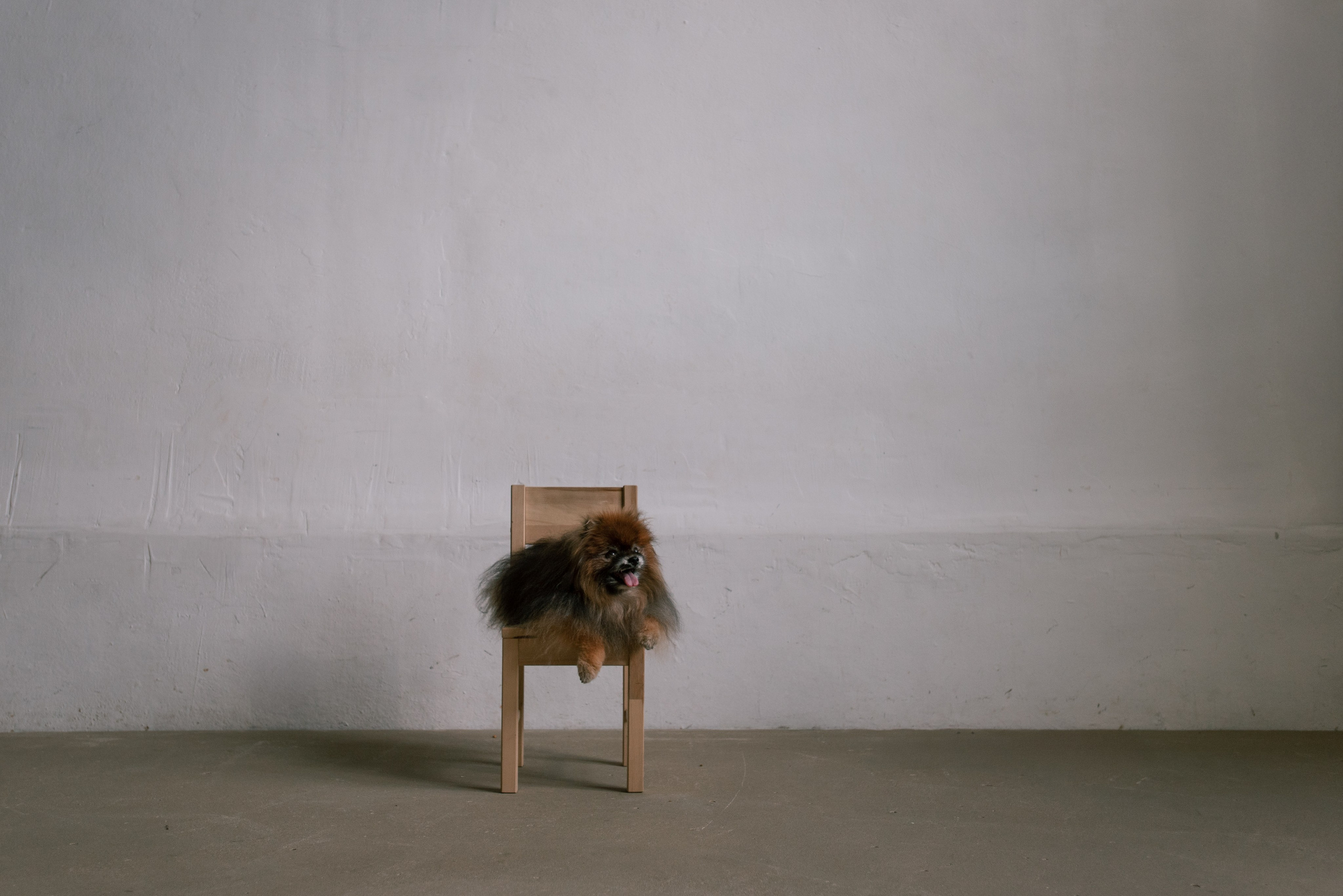 Семья. Фотограф Анна Тюрина