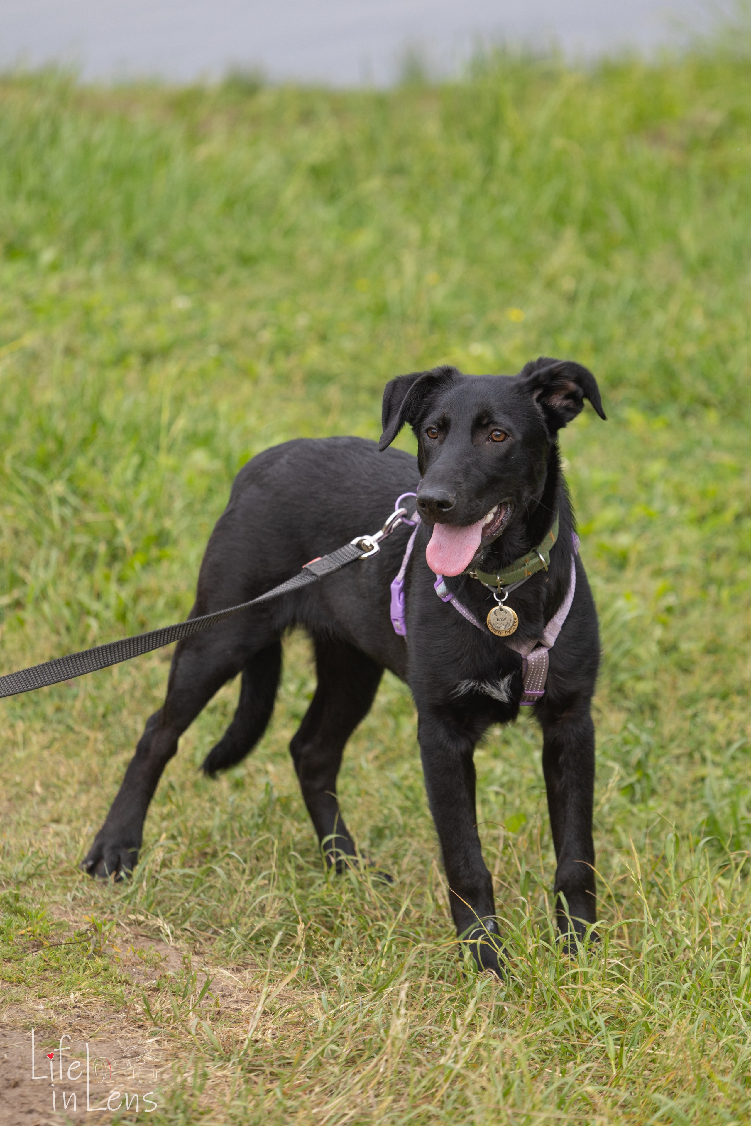 Парк Кузьминки. Фотограф, получающий удовольствие от своей работы