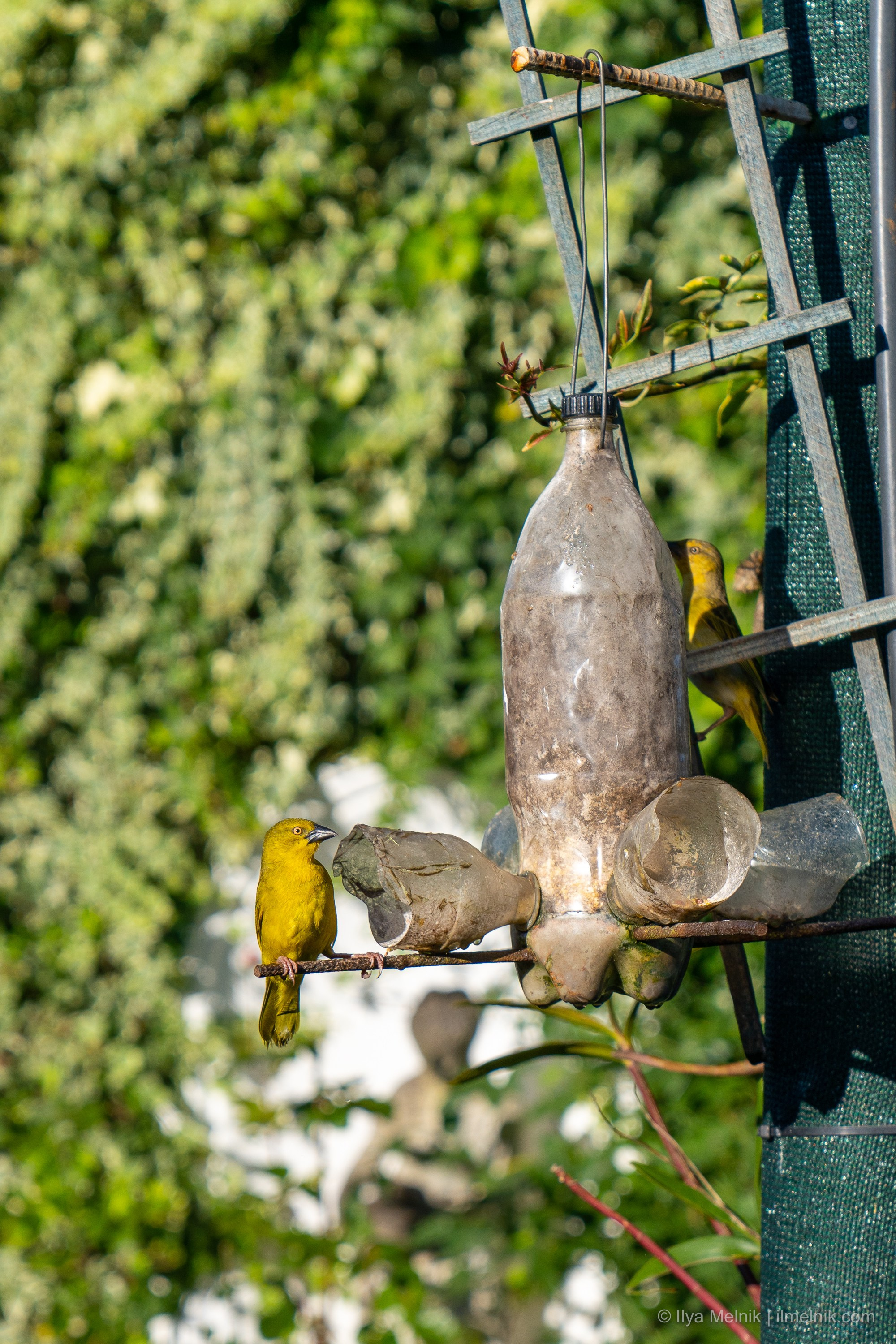 South Aftrica. Ilya Melnik Photography