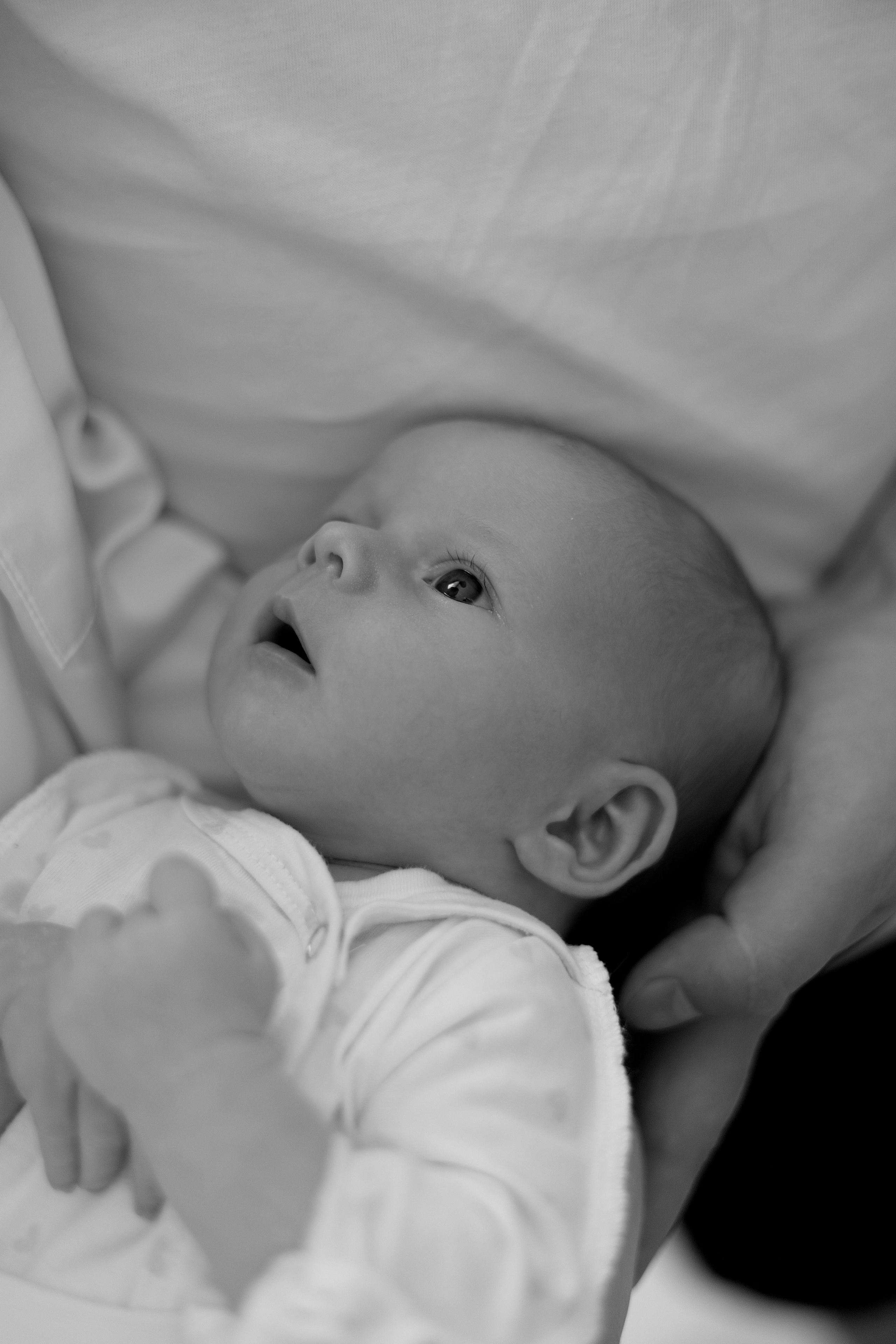 Полина, Коля и Саша. Свадебный фотограф в Пскове и Санкт-Петербурге | Анна Голикова