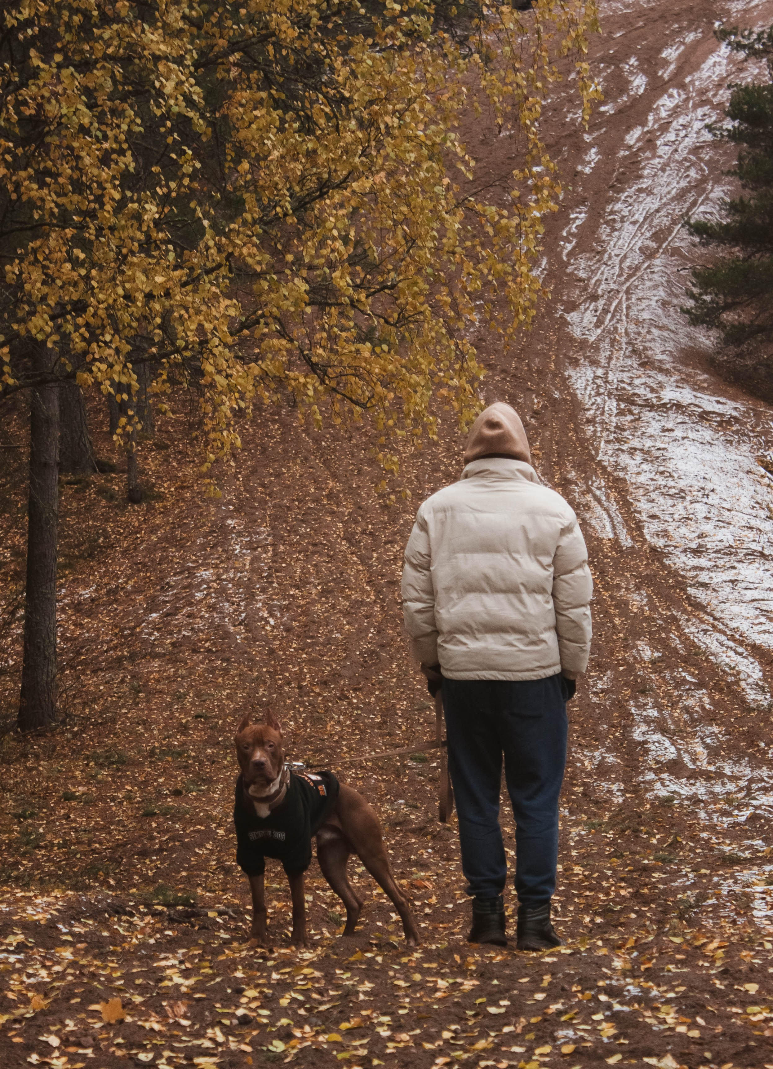 Айрон и Егор. Фотограф-анималист в Санкт-Петербурге Алина Яхонт