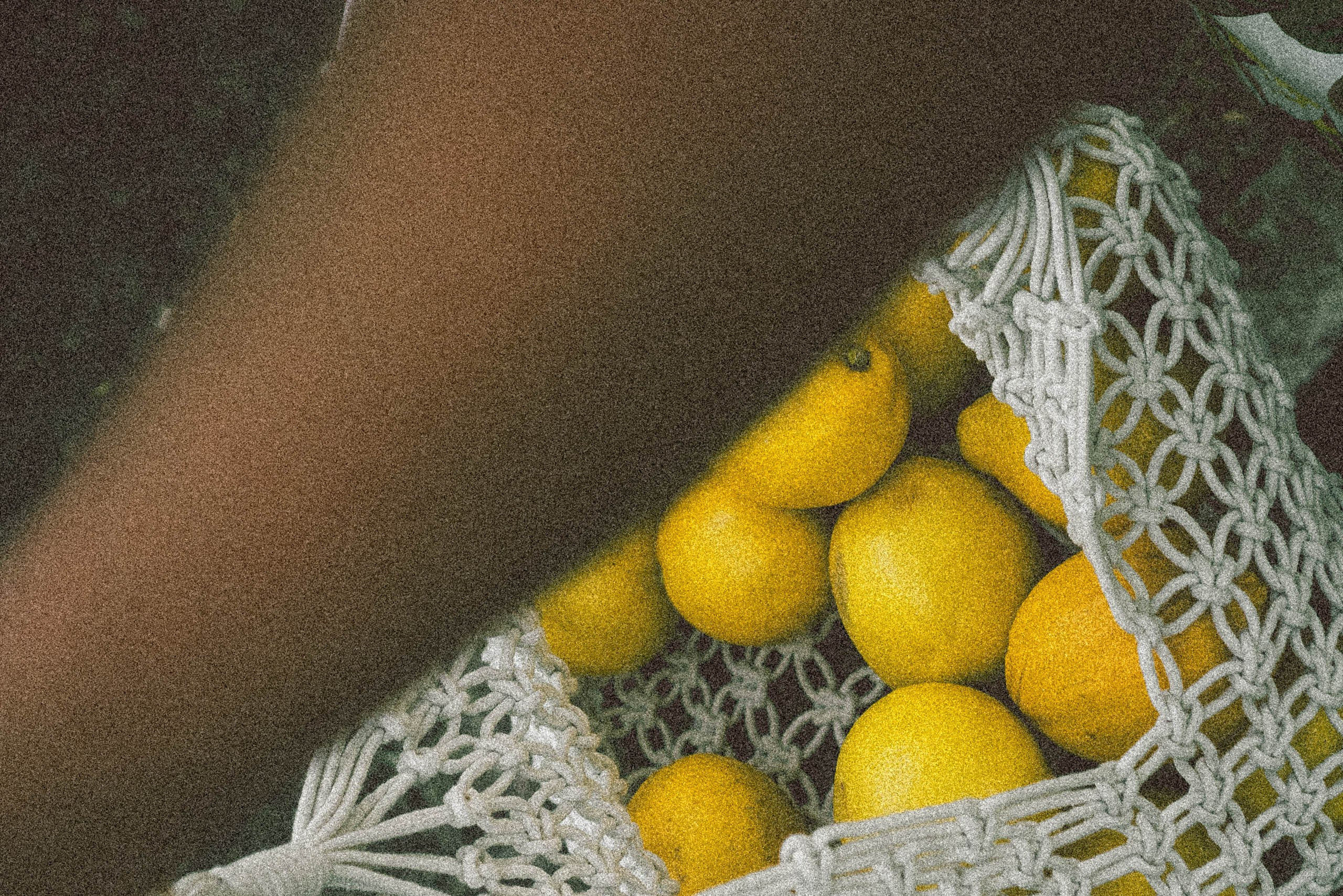 Лимонный вайб. Профессиональный фотограф, Санкт-Петербург — Виктория Богомолова