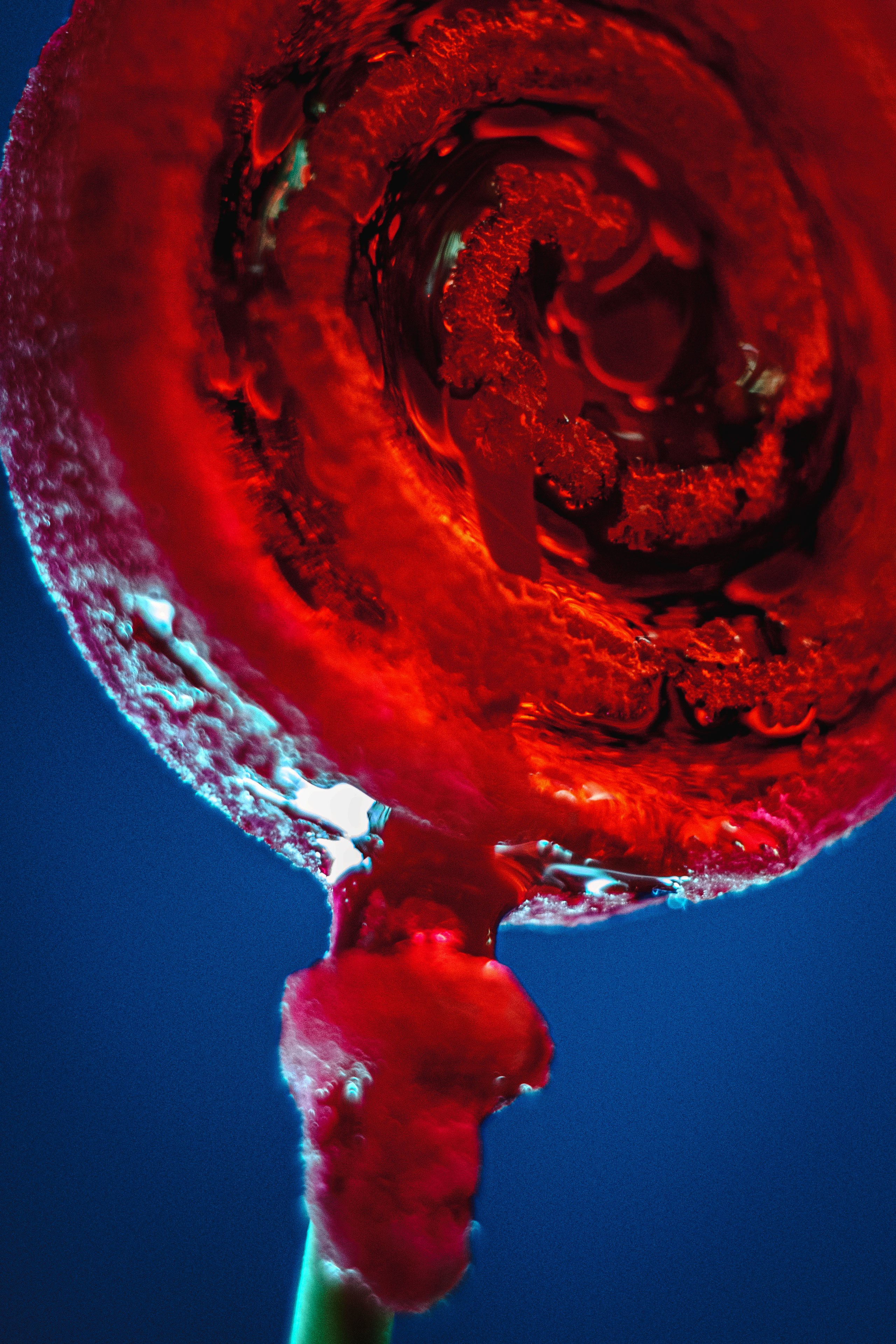 STILL LIFE. Photographer Zoya Smirnova