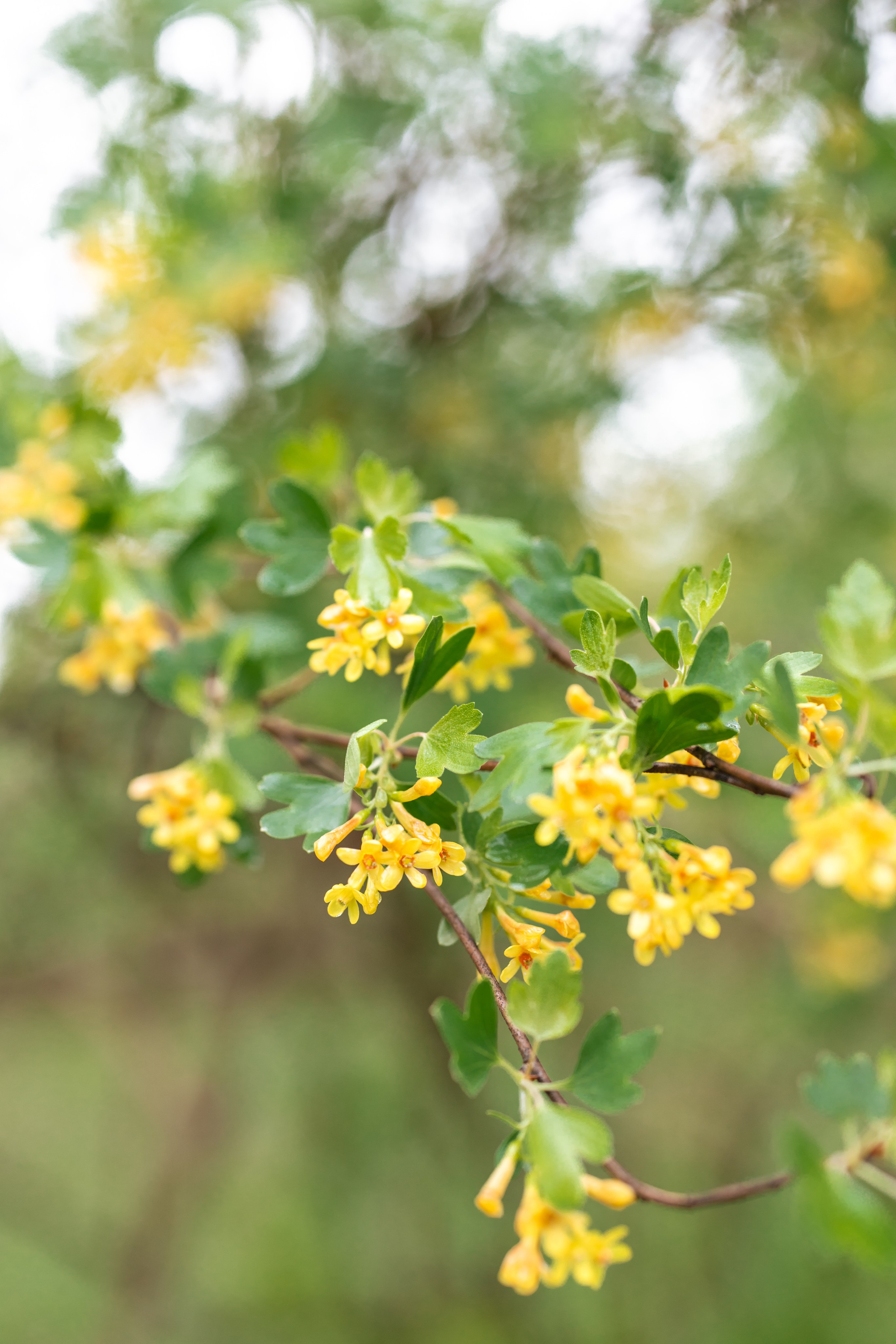 Крещение Евы. Александр Антонов. Профессиональный свадебный, репортажный фотограф в Москве, Подольске. Фото+Видео на любой праздник