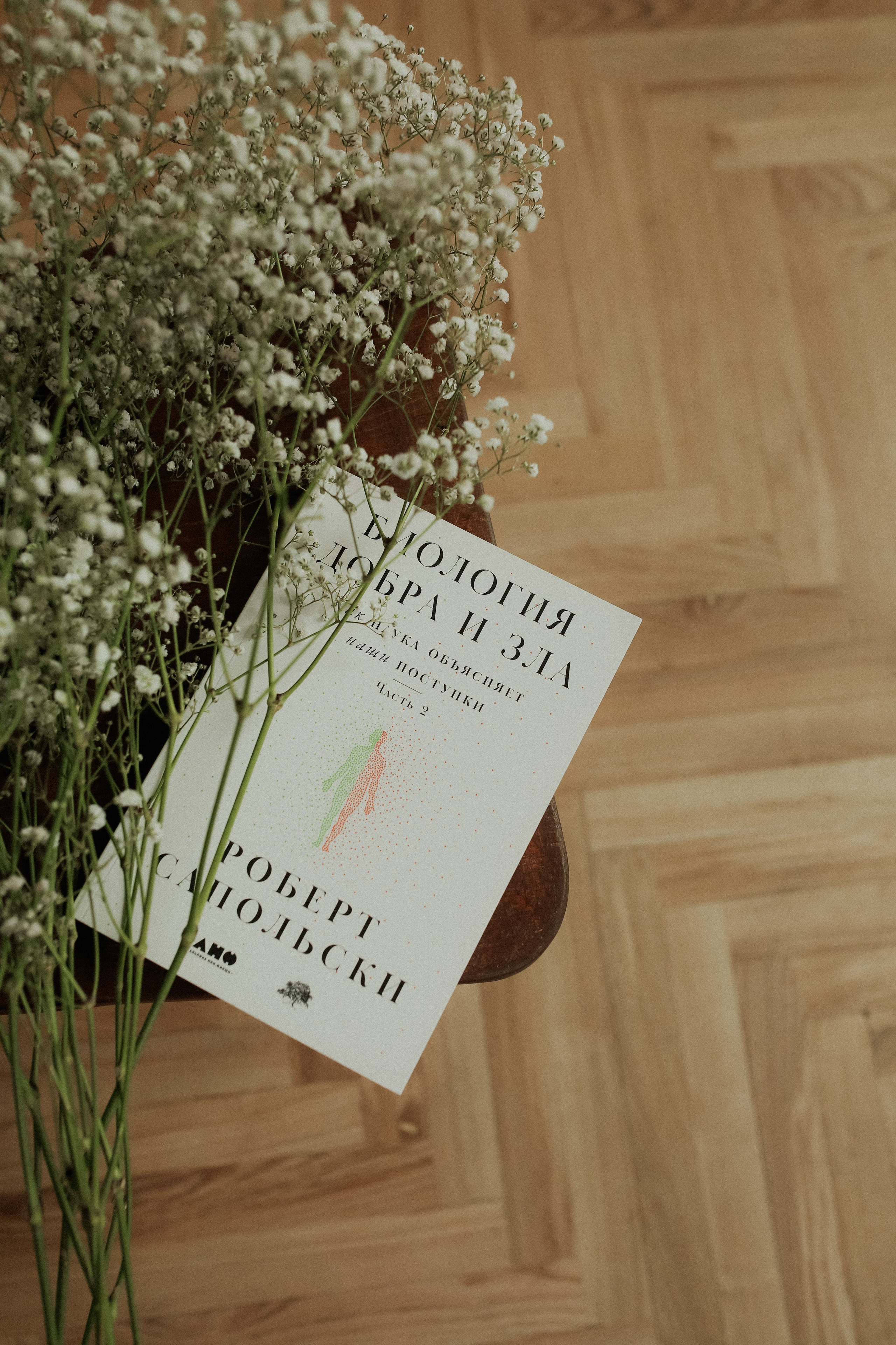 ФОТОСЕССИЯ ДЛЯ ДАРЬИ. Бренд, контент фотограф в Волгограде Елена Даньшина