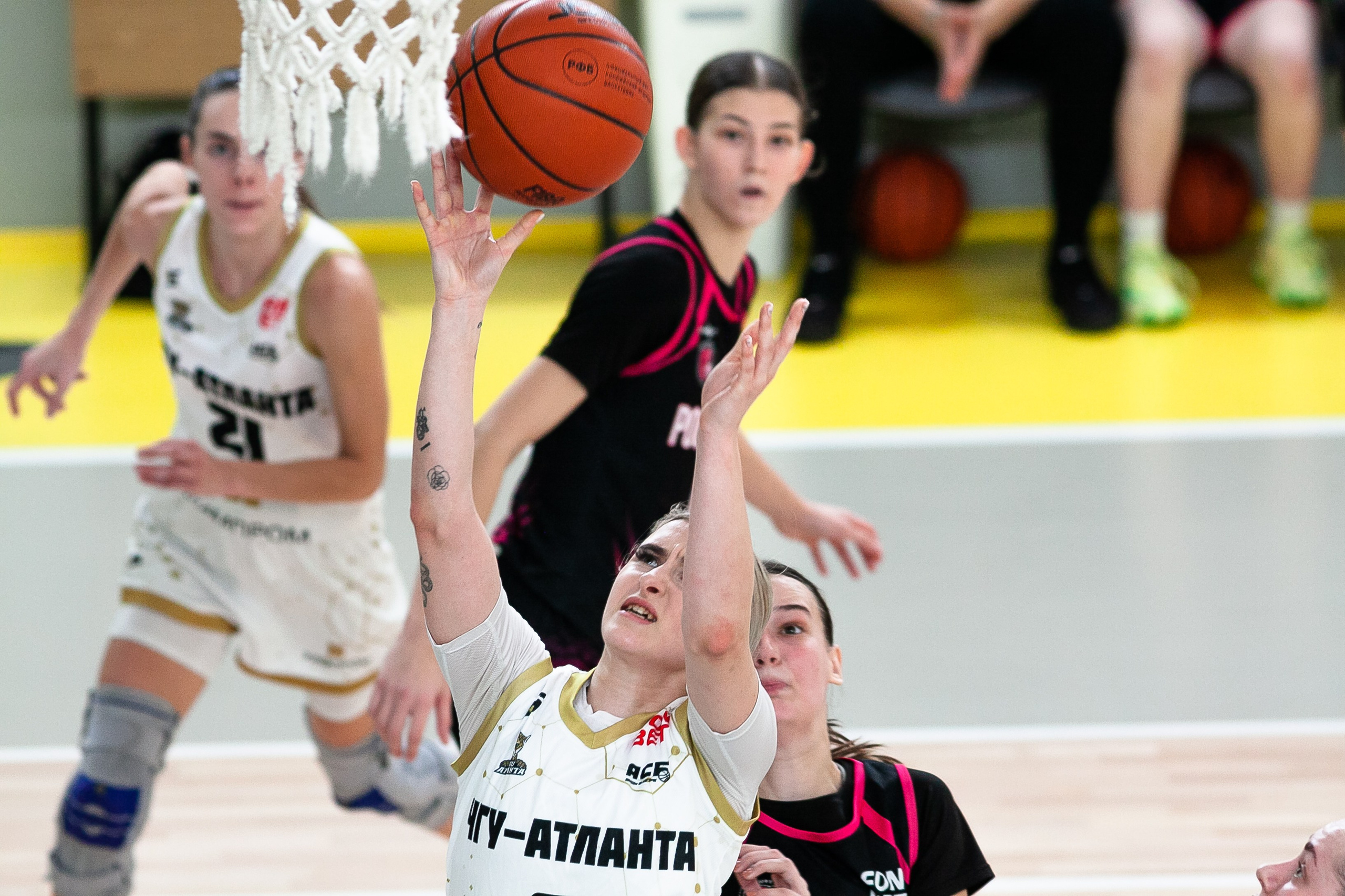 Патшалах университечэ. Фотография