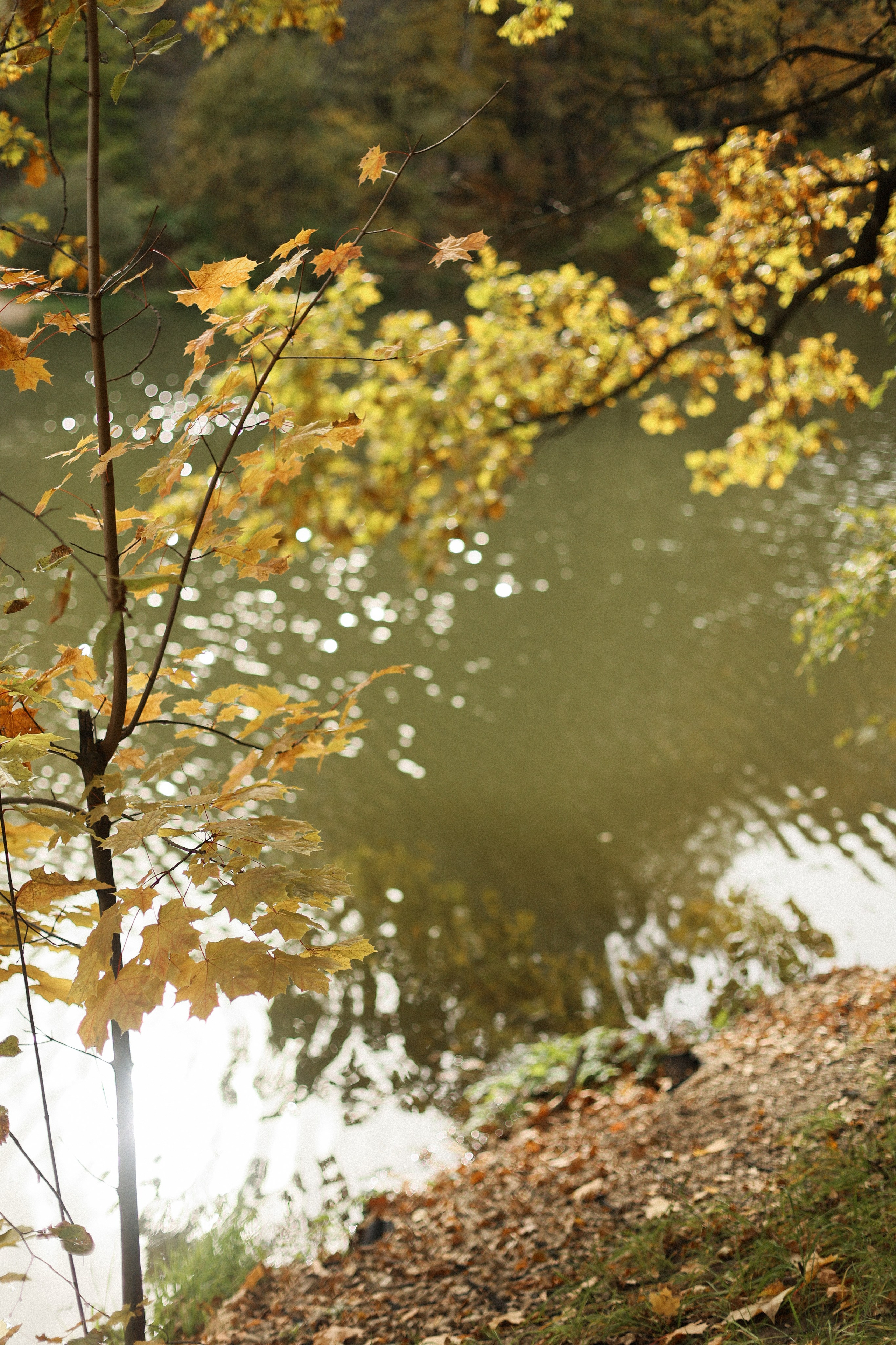 Я рад, что нас фотографируют. Фотограф — Ольга Косолюкина