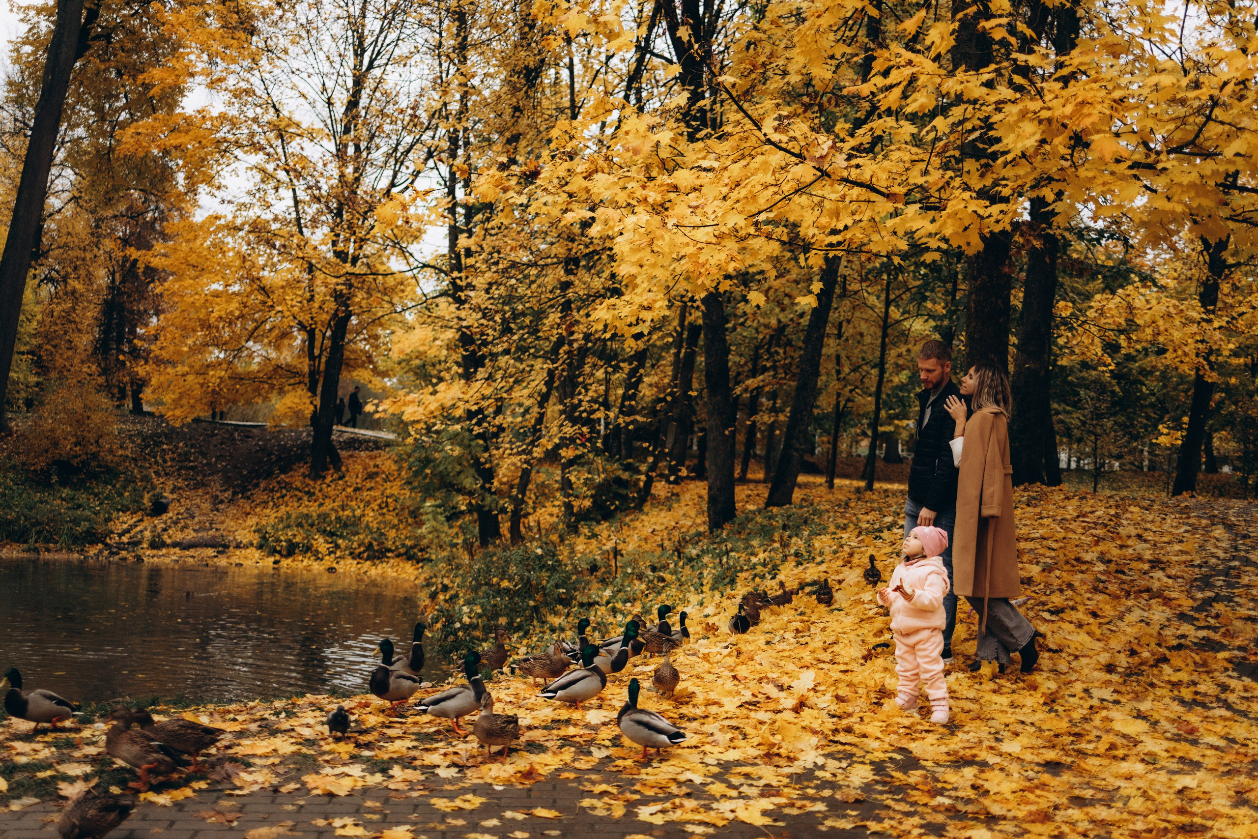 Осенняя семейная фотосъемка (11.10.2025 г.) г. Обнинск (Калужская обл.). Надежда Стар семейный и церковный фотограф в Жукове и Калужской области