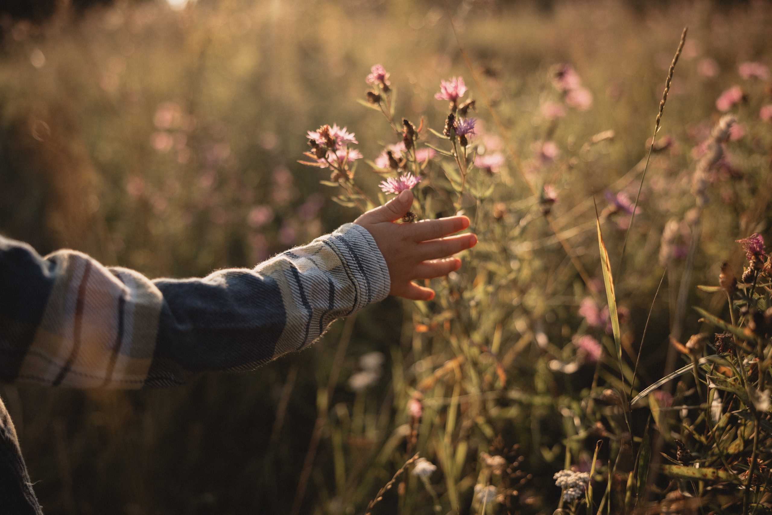 Семейная съёмка в Рыбынске