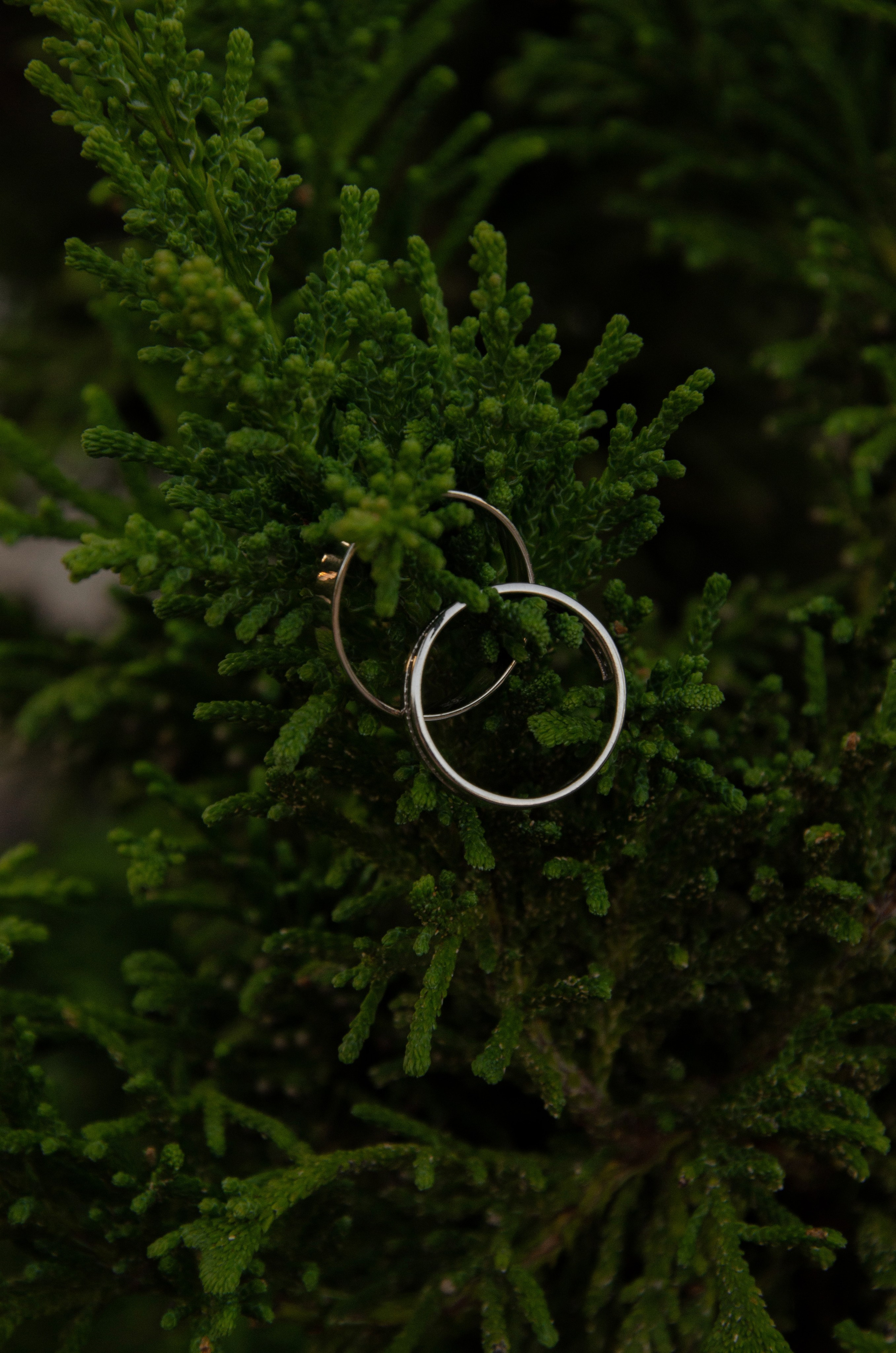 Свадебная фотосъемка. Фотограф в Калининграде Сокирко Светлана