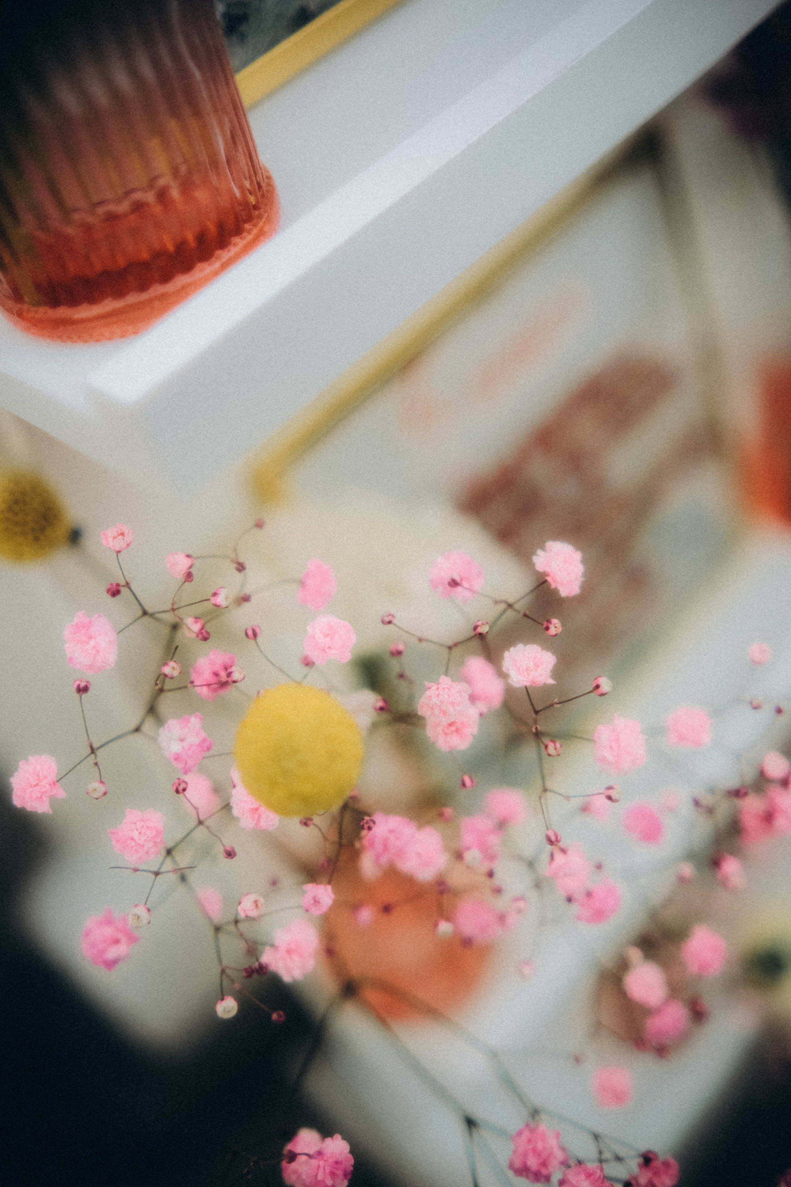 Рида & Богдан. Пушкин. Phdkvmr.ru