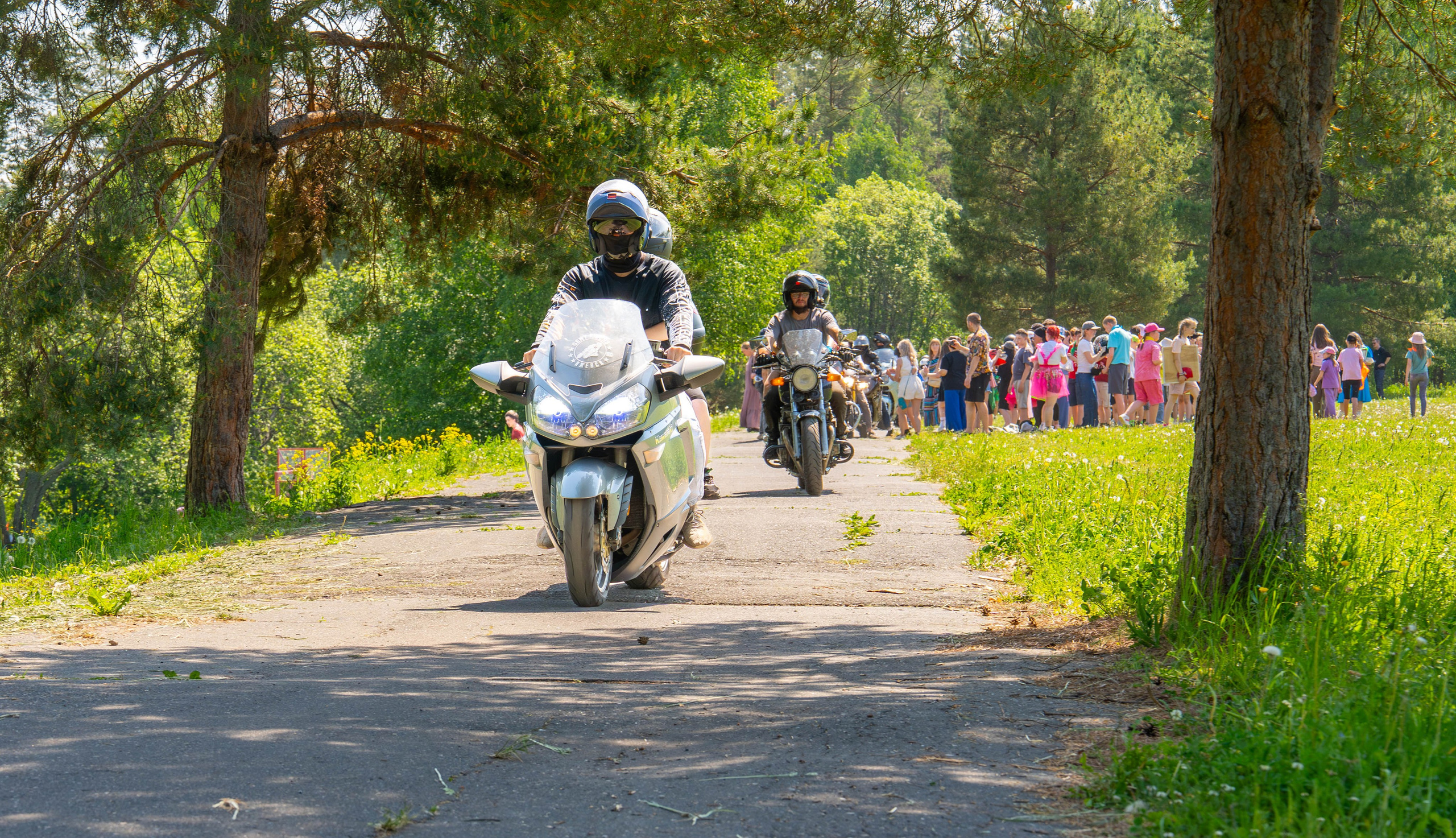 Лесная сказка. Фотограф Наталья Сорока Ижевск
