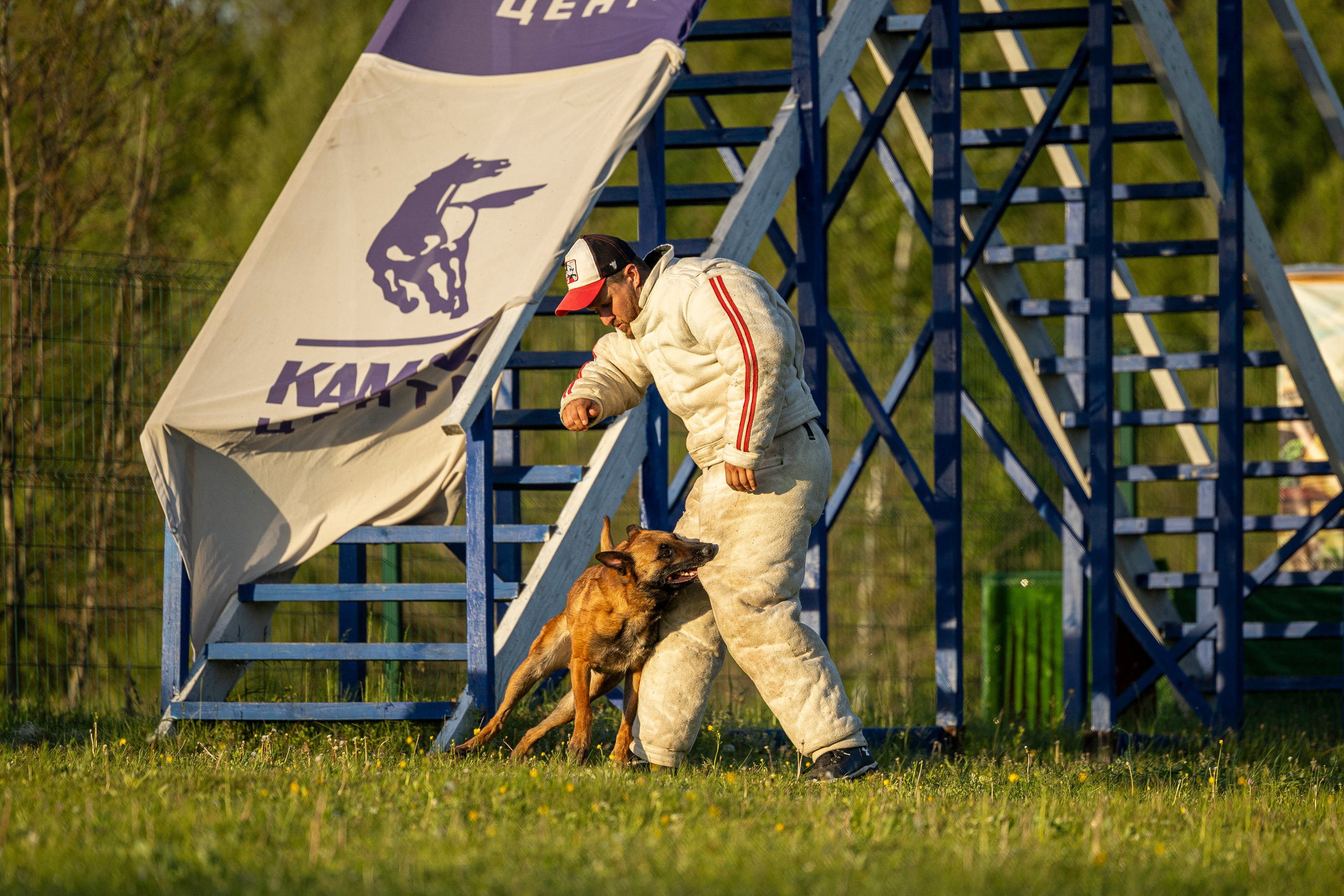 Испытания по мондьорингу в Нижнем Новгороде. Фотограф-анималист Анна Маринич