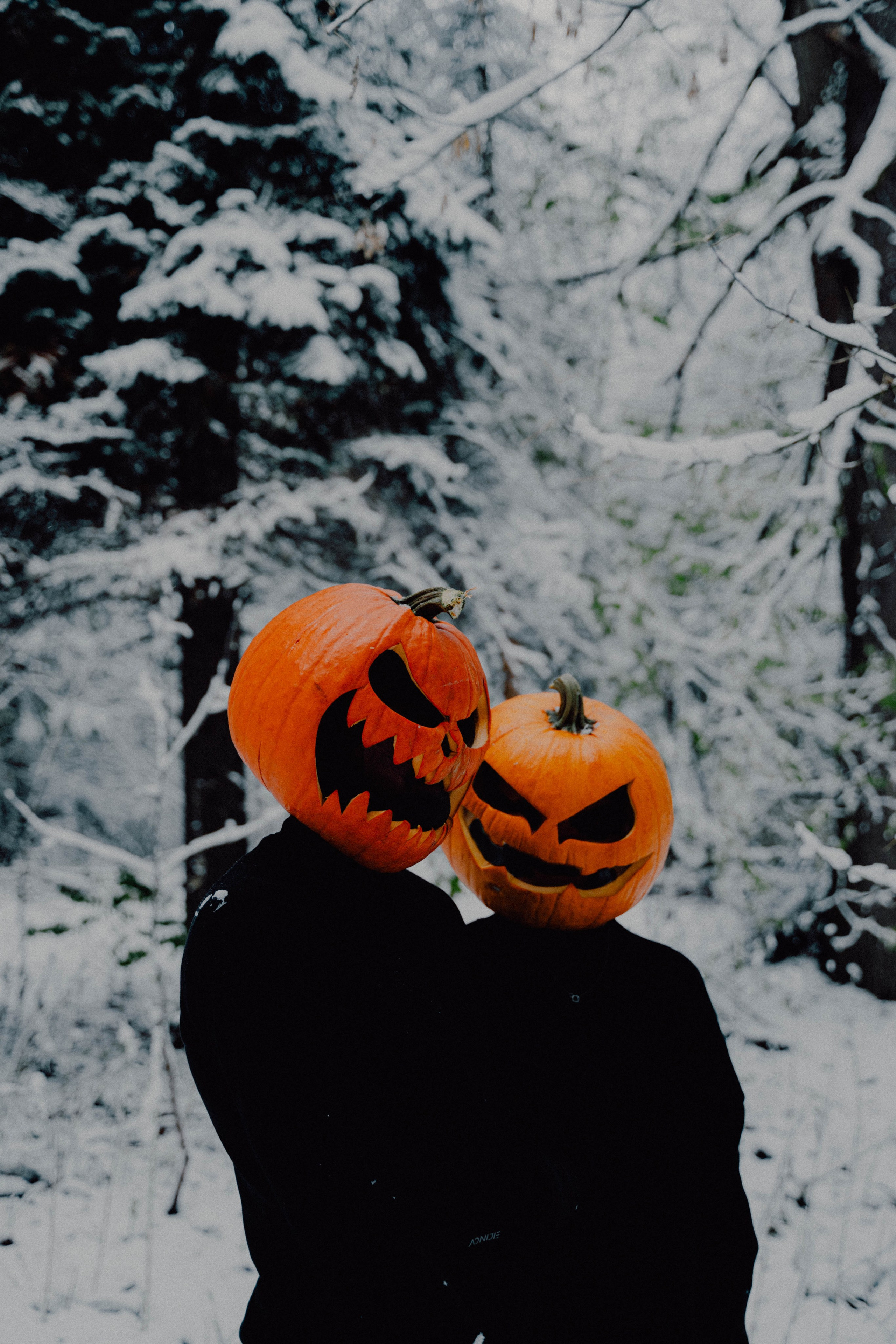 Pumpkin spice. Портретный фотограф в Москве Эмиль Халиков