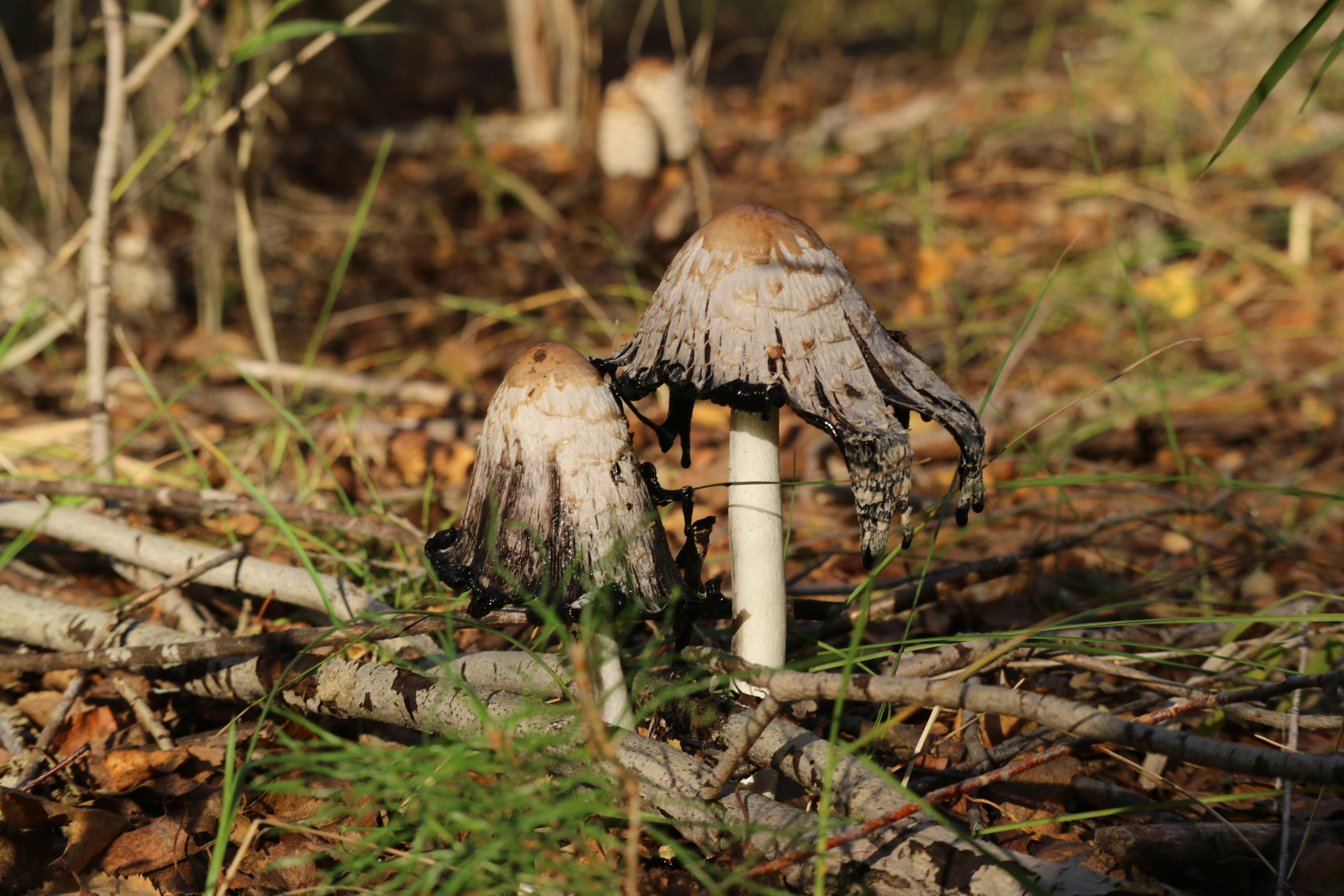 Travels. Репортажный и тревел фотограф Мокеров А.С