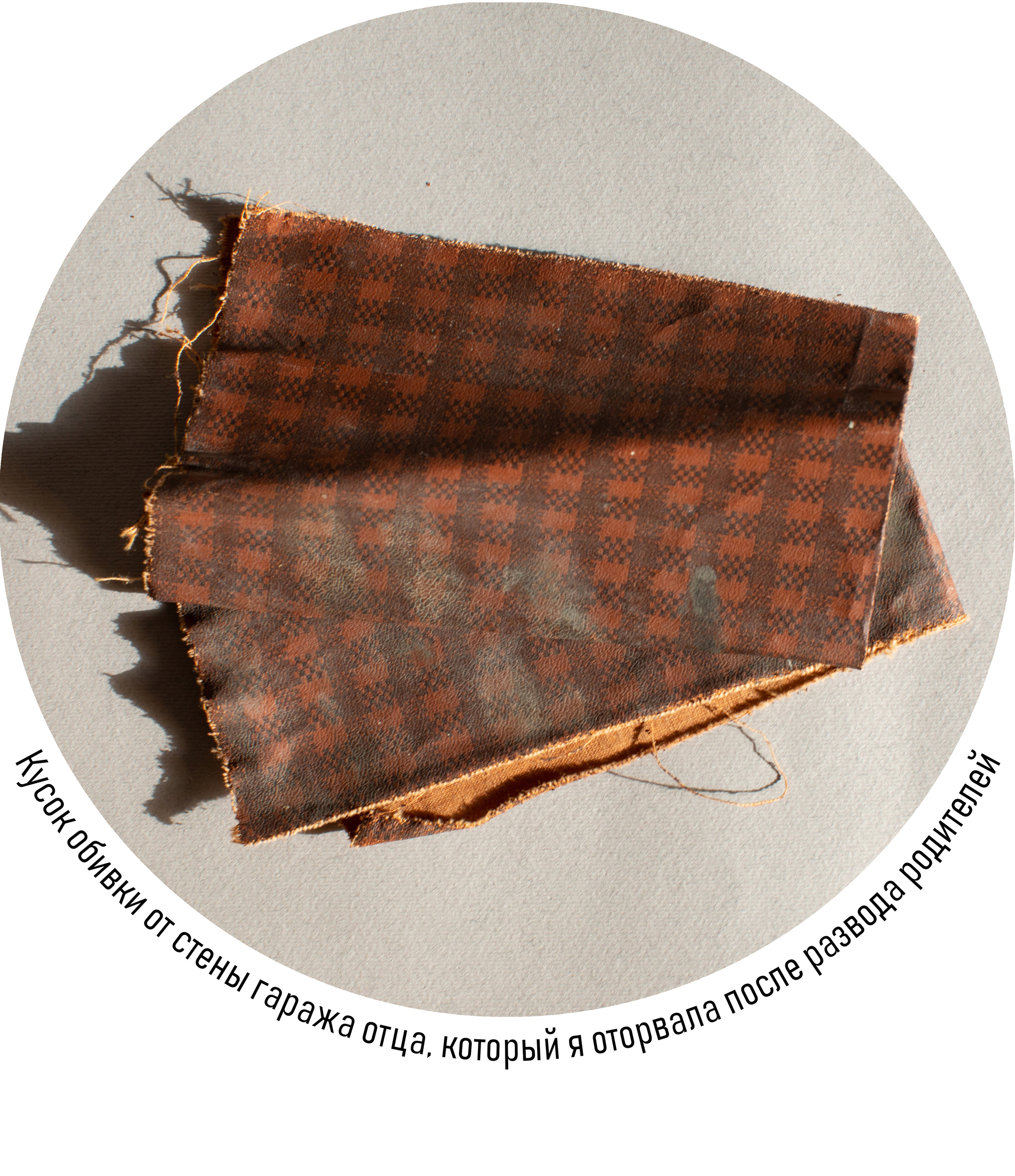 Зоя Альшаравнех