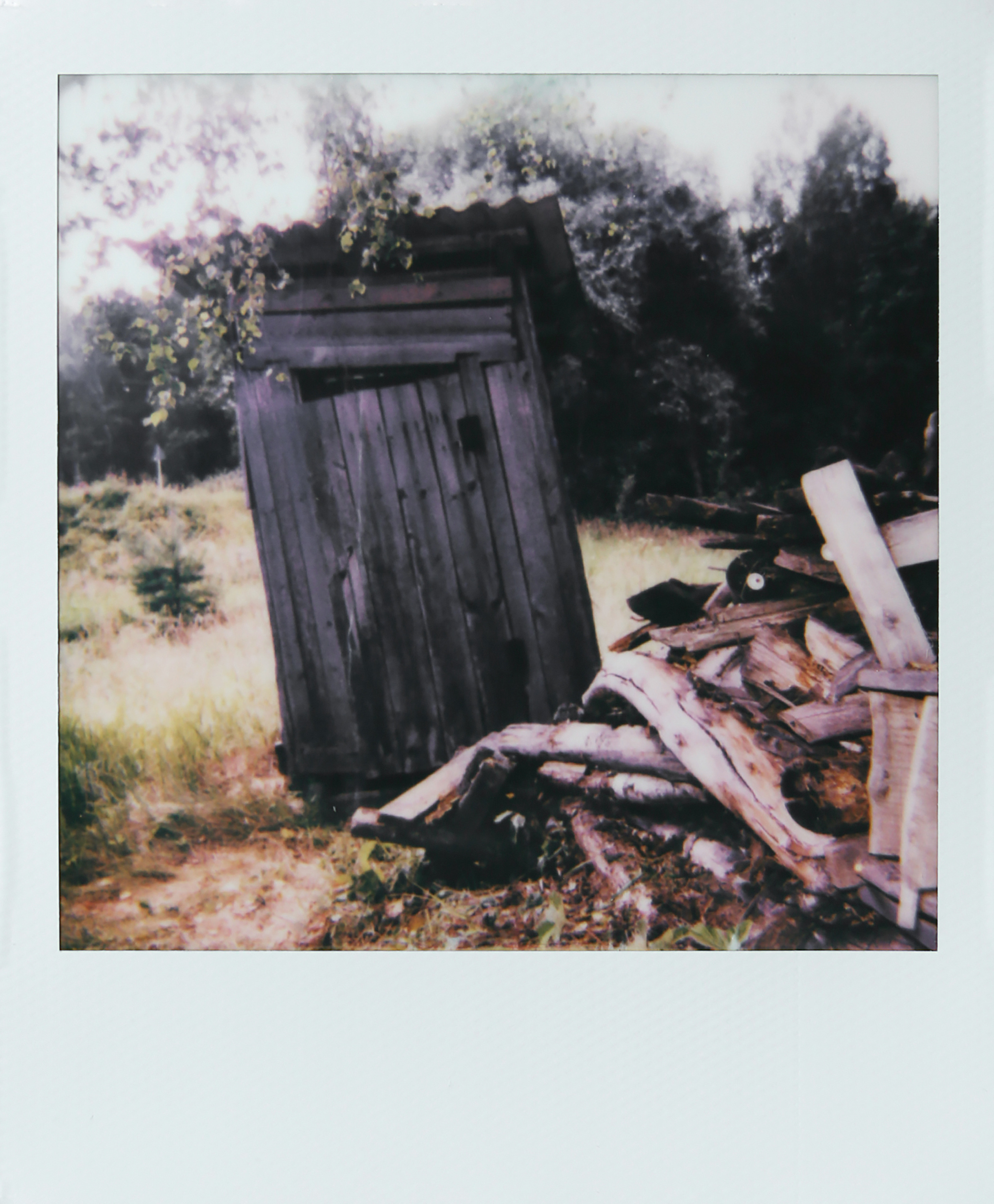 Лена Альтшуль