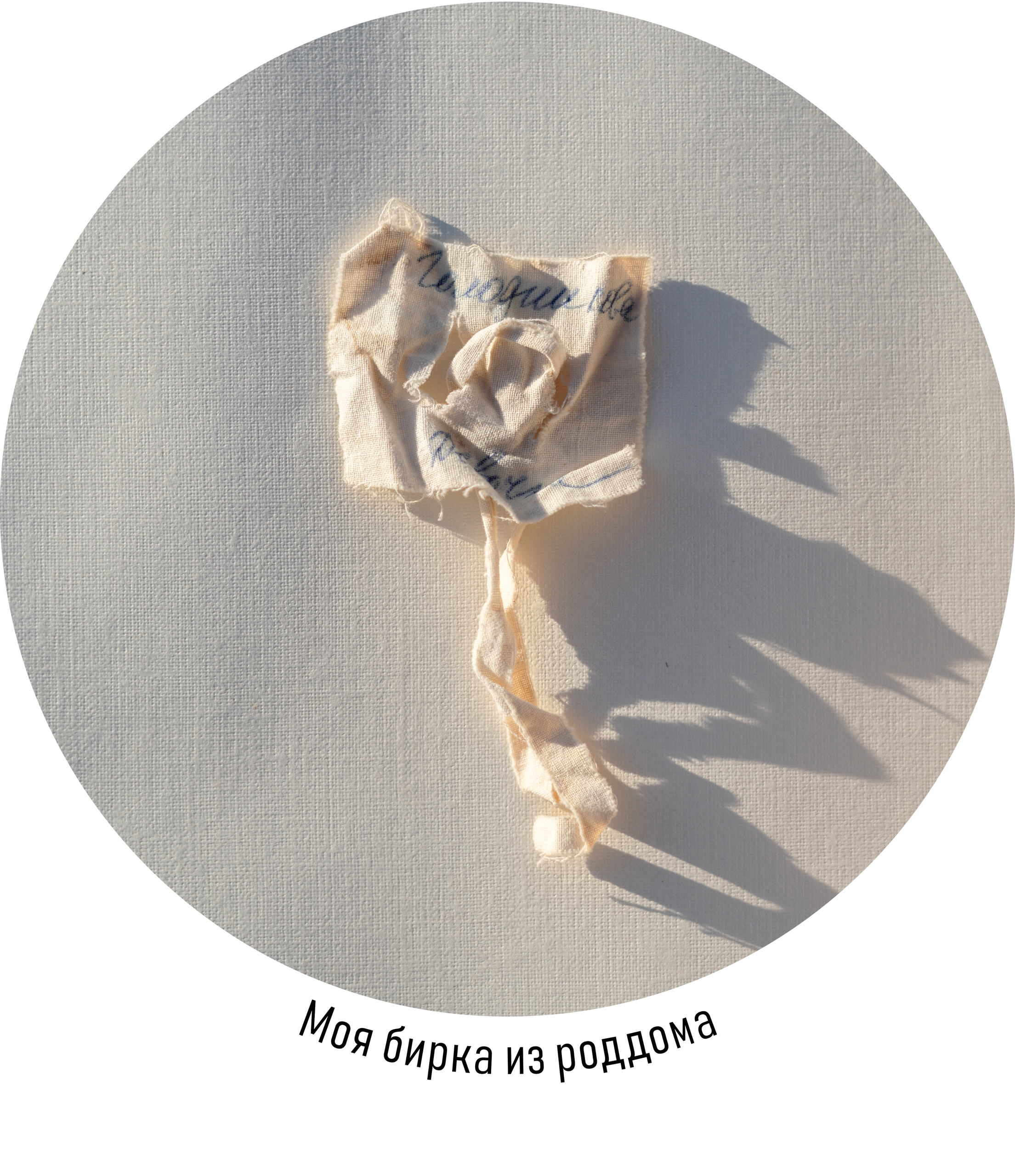 Зоя Альшаравнех