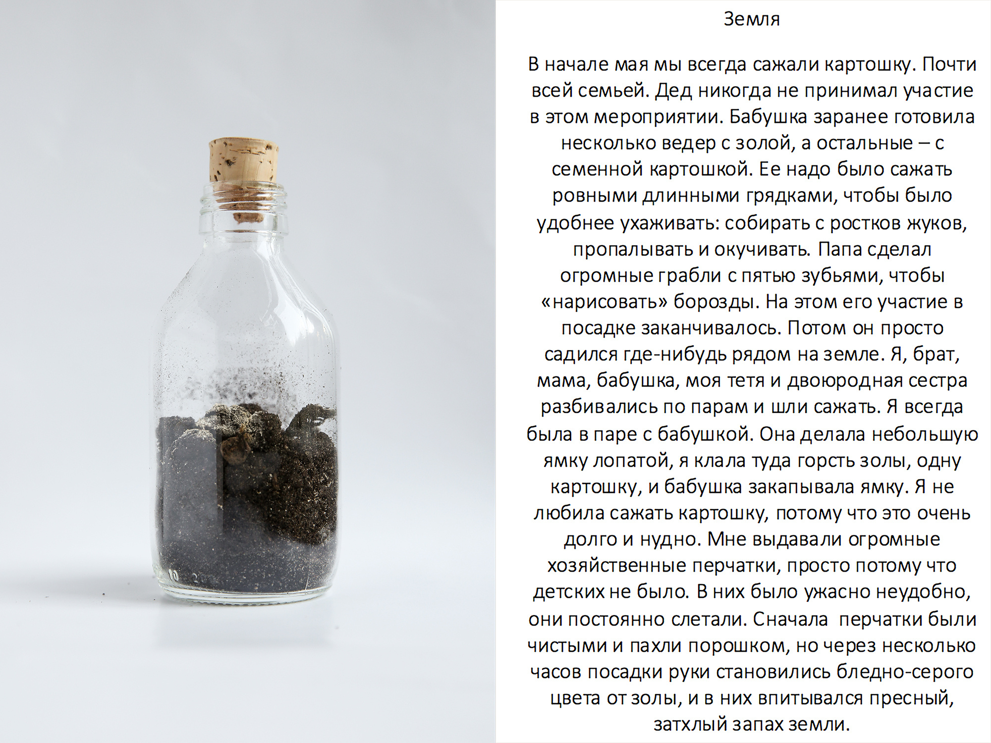 Лена Альтшуль