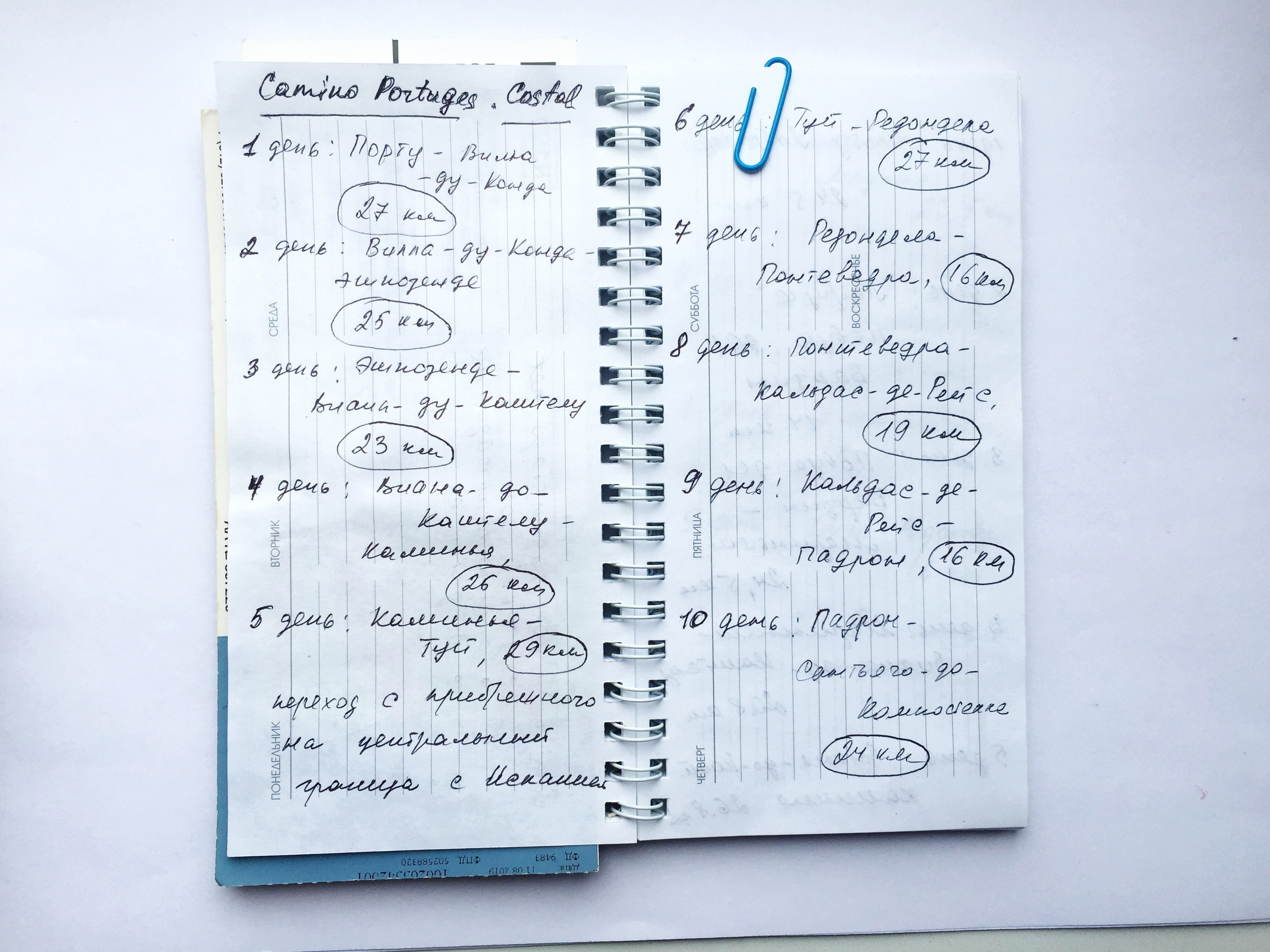 Василиса Моисеева -  выставка ''Вещь № 4'' с 26 августа по 26 октября