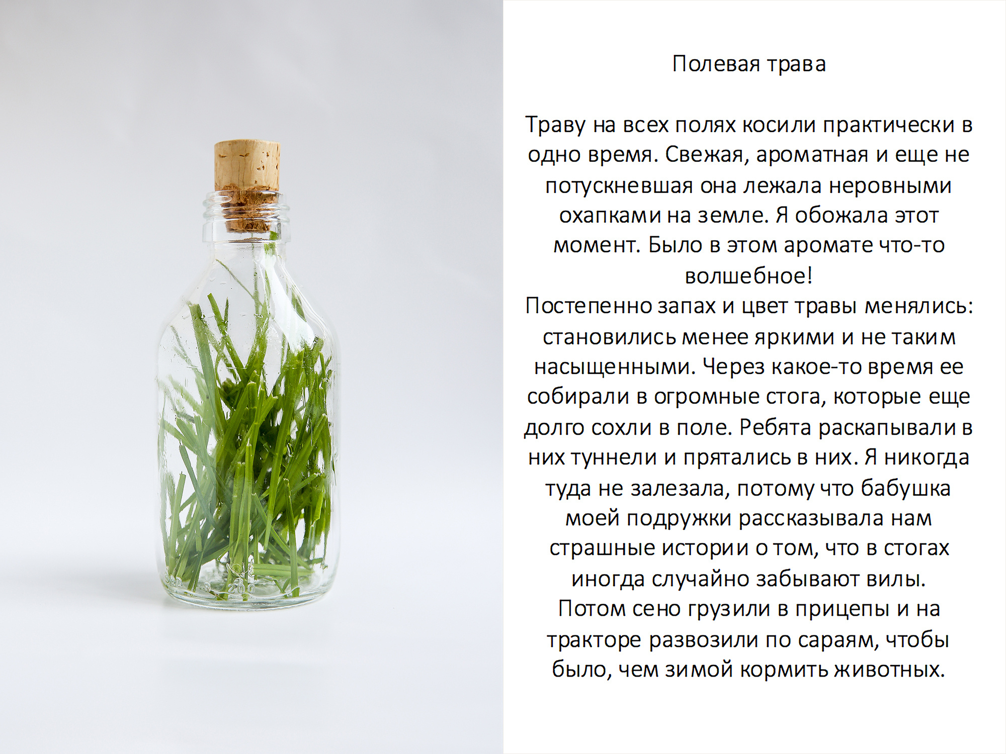 Лена Альтшуль