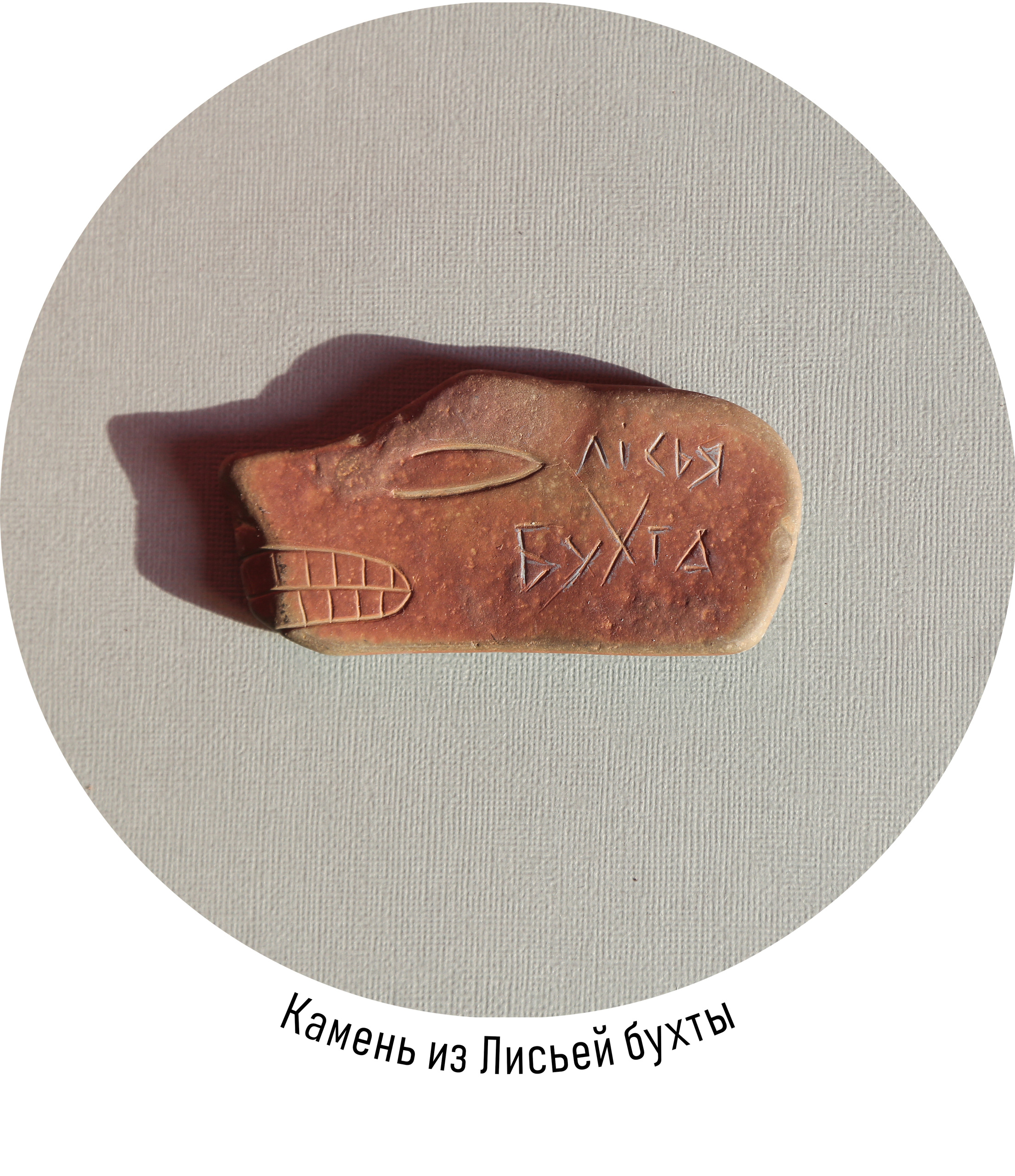 Зоя Альшаравнех