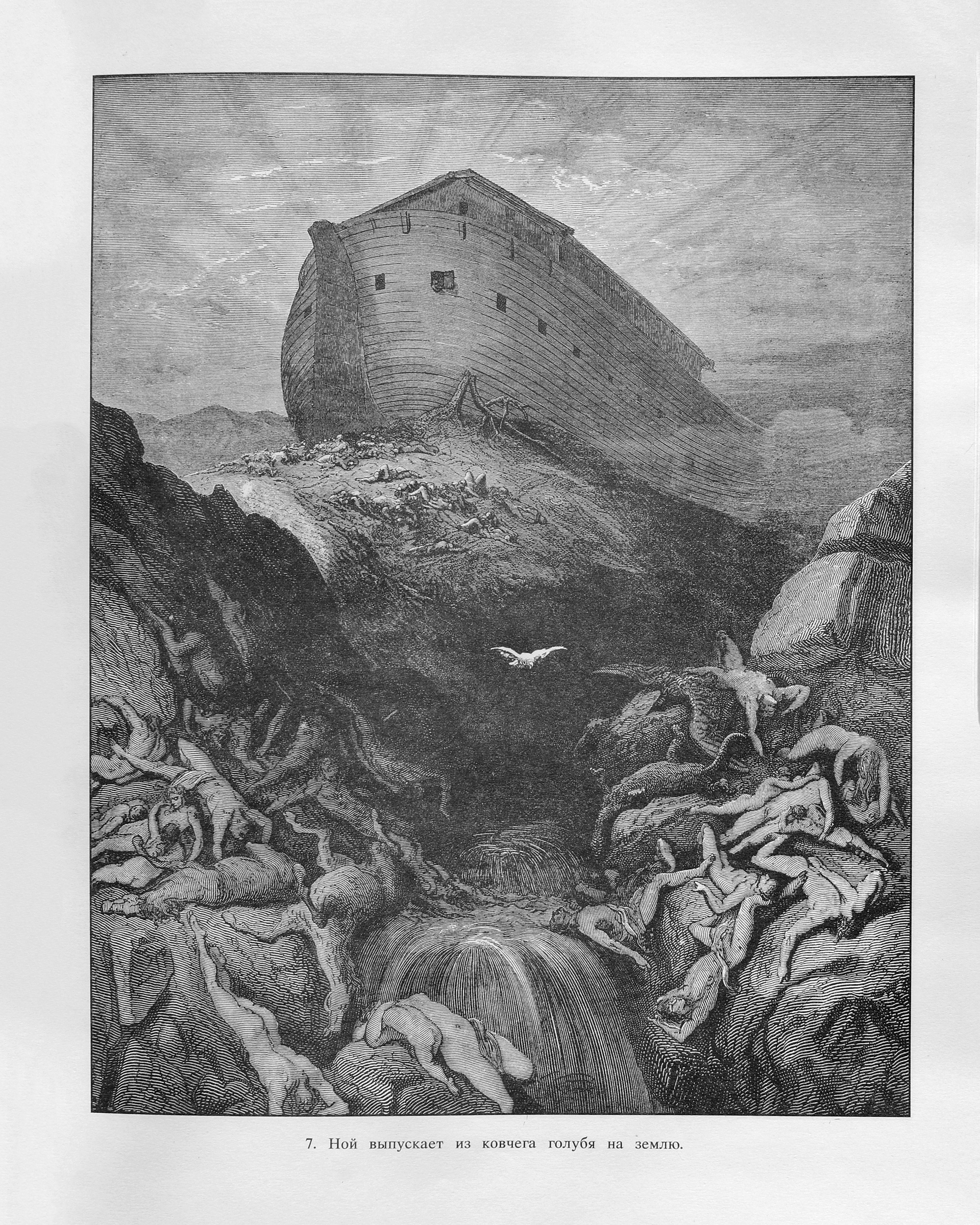 Мария Кокунова