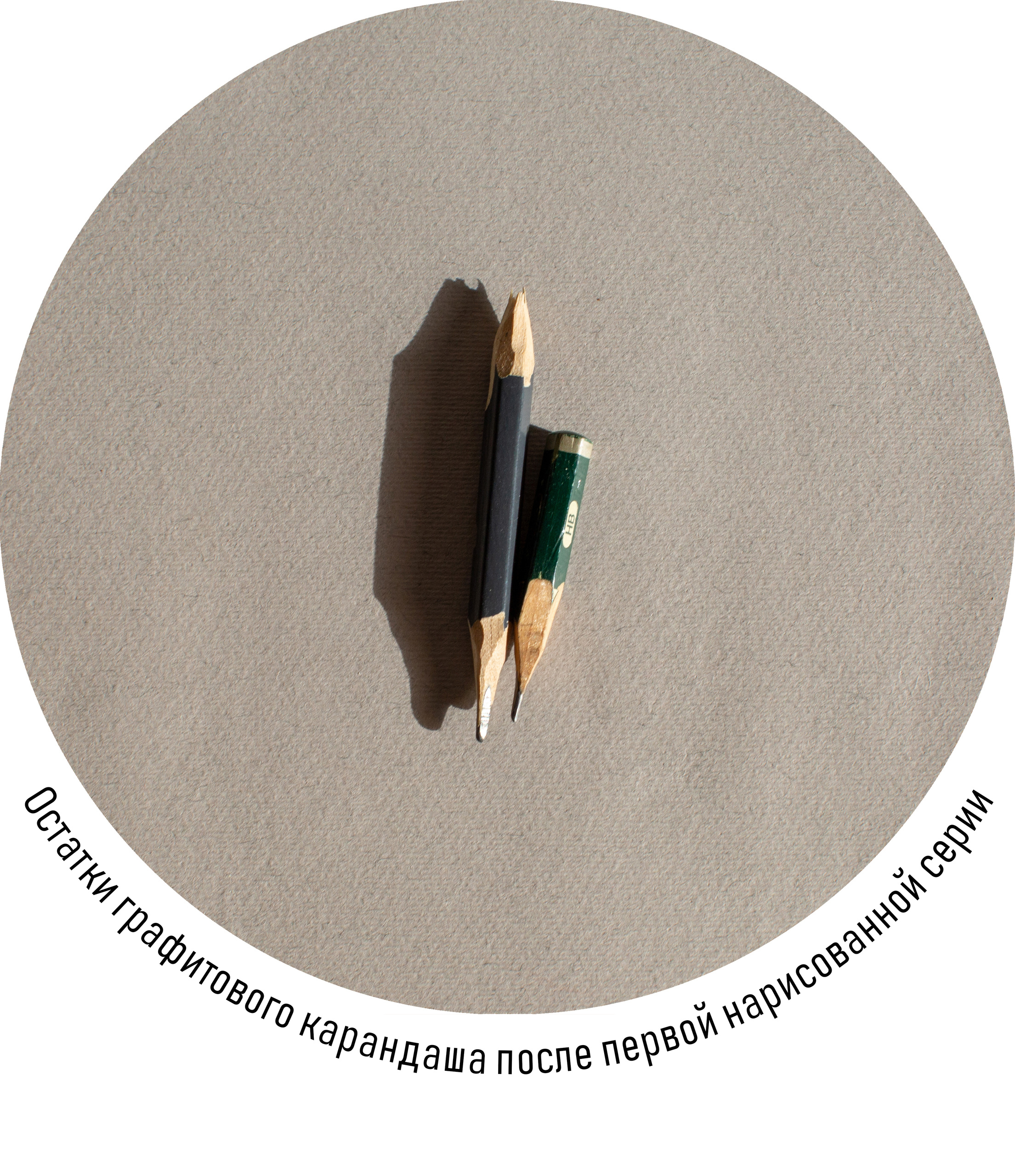 Зоя Альшаравнех