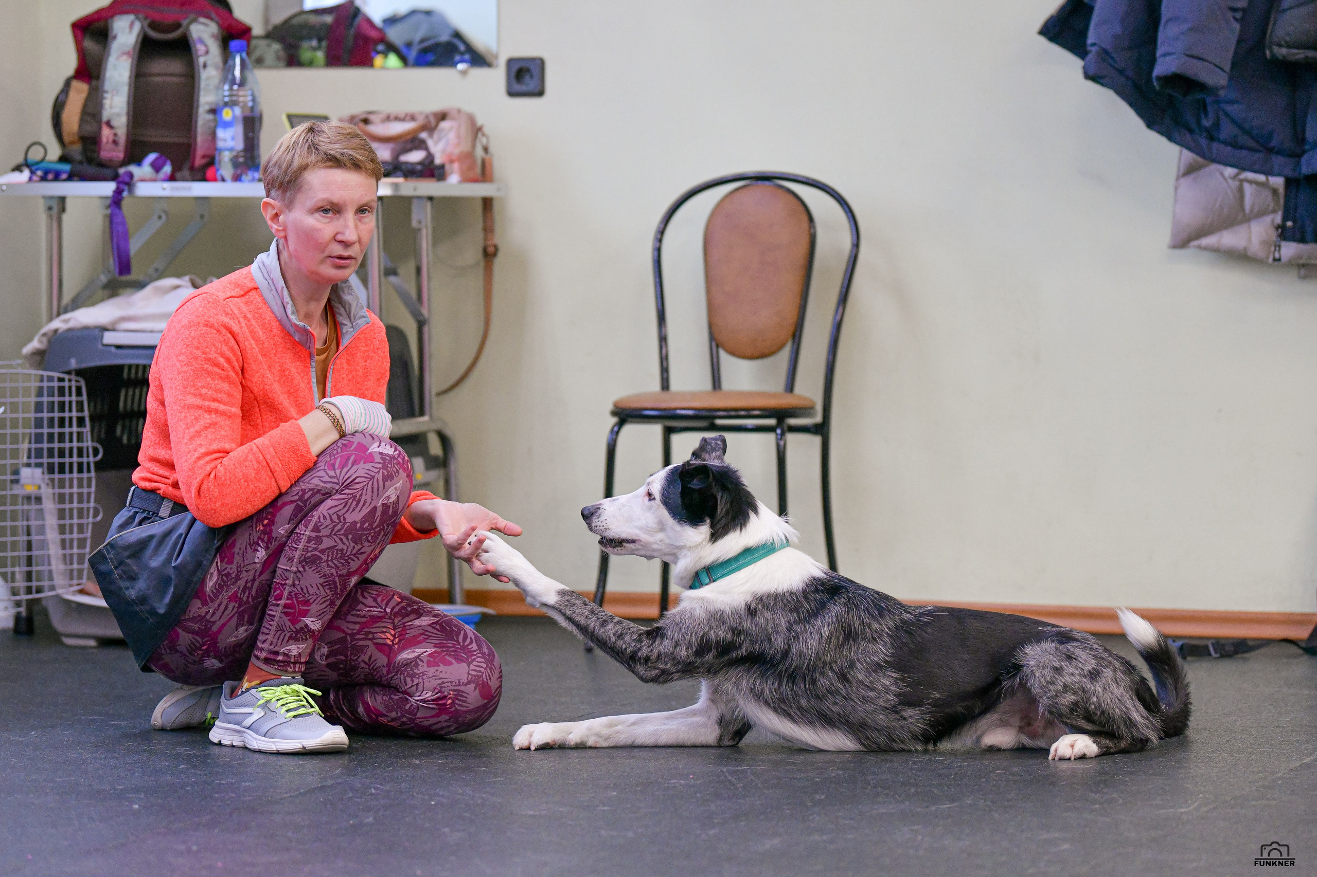 Кинологический клуб «Бодрый хвост». Свой взгляд через объектив