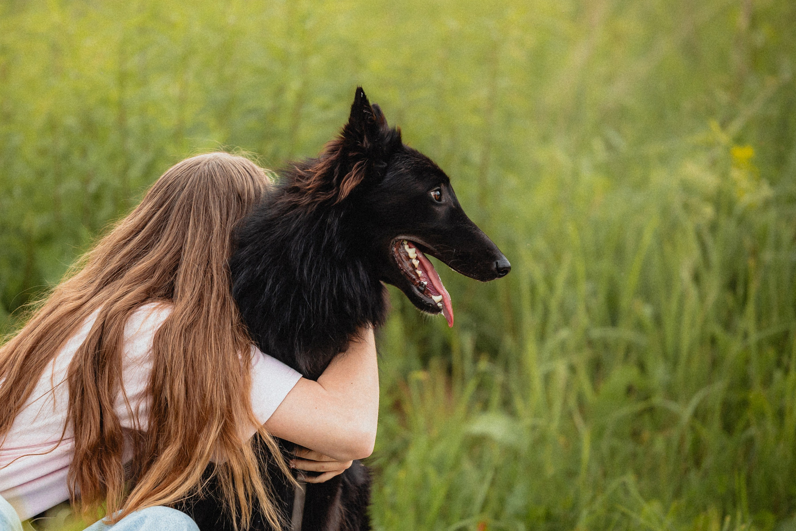 Выездной дог-тренинг от школы «Шерсть имею»