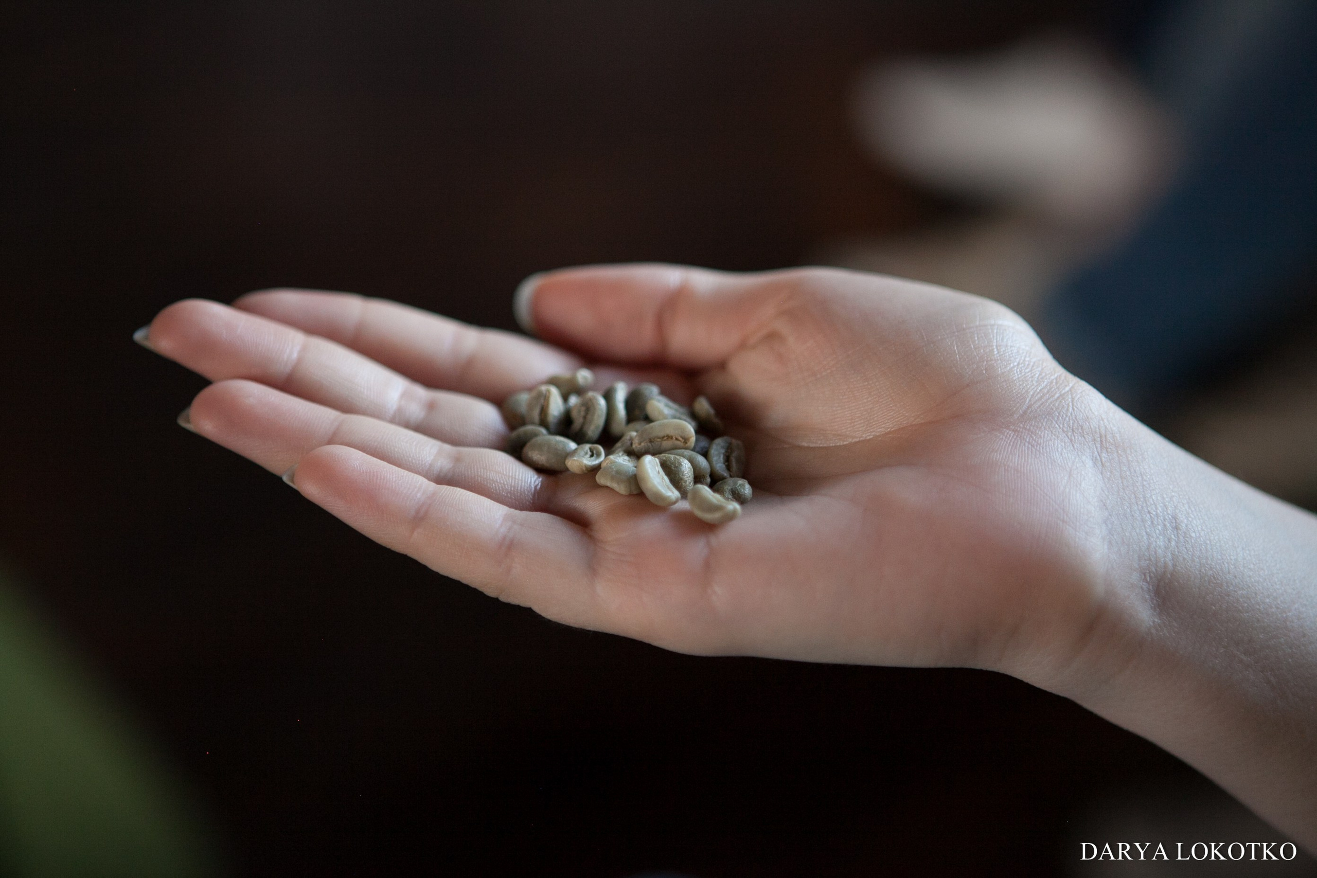 Лекция от Woodcoffee + дегустация кофе. Фотограф Дарья Локотко в Красноярске