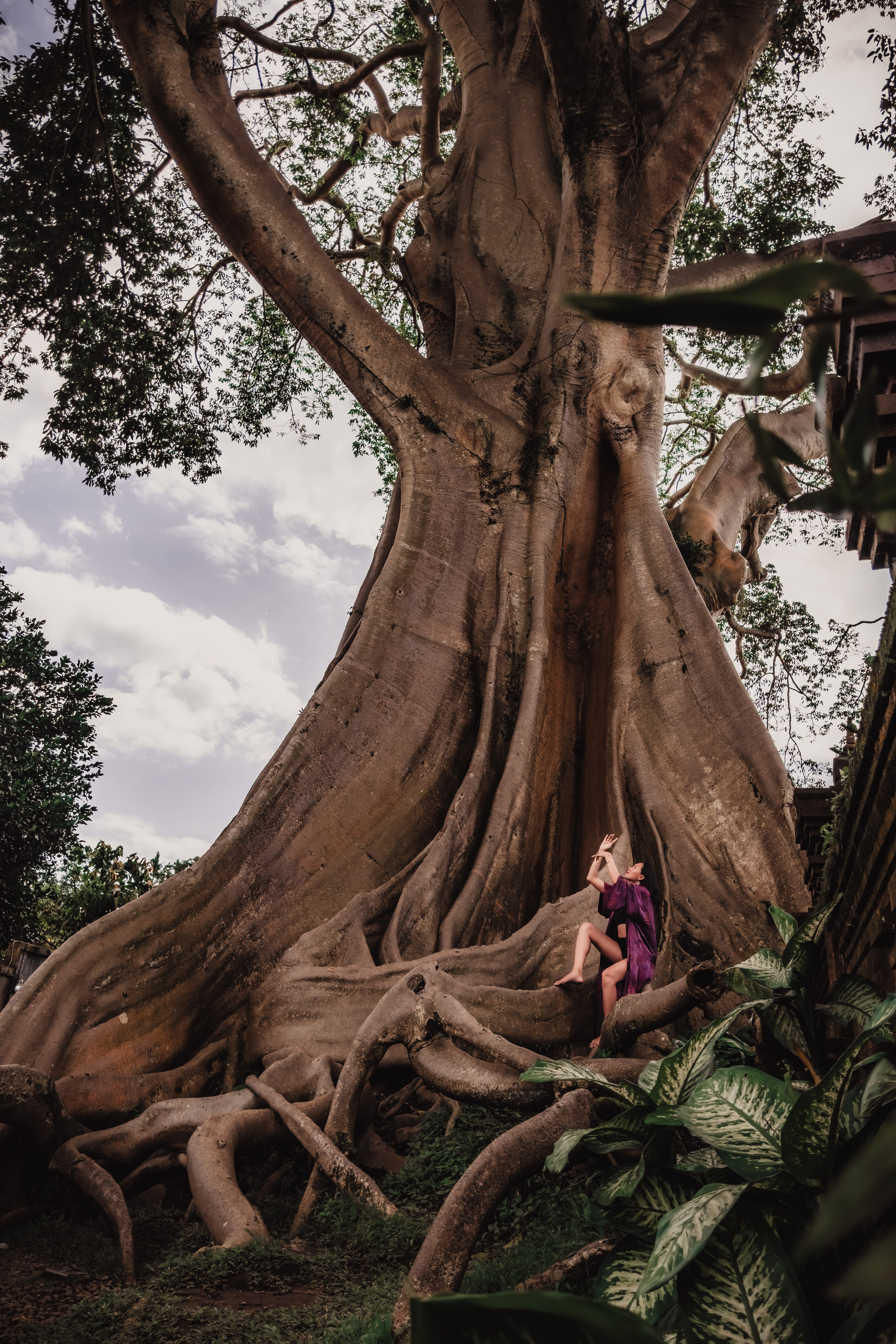 Banyan date. Mariam Bagdasaryan