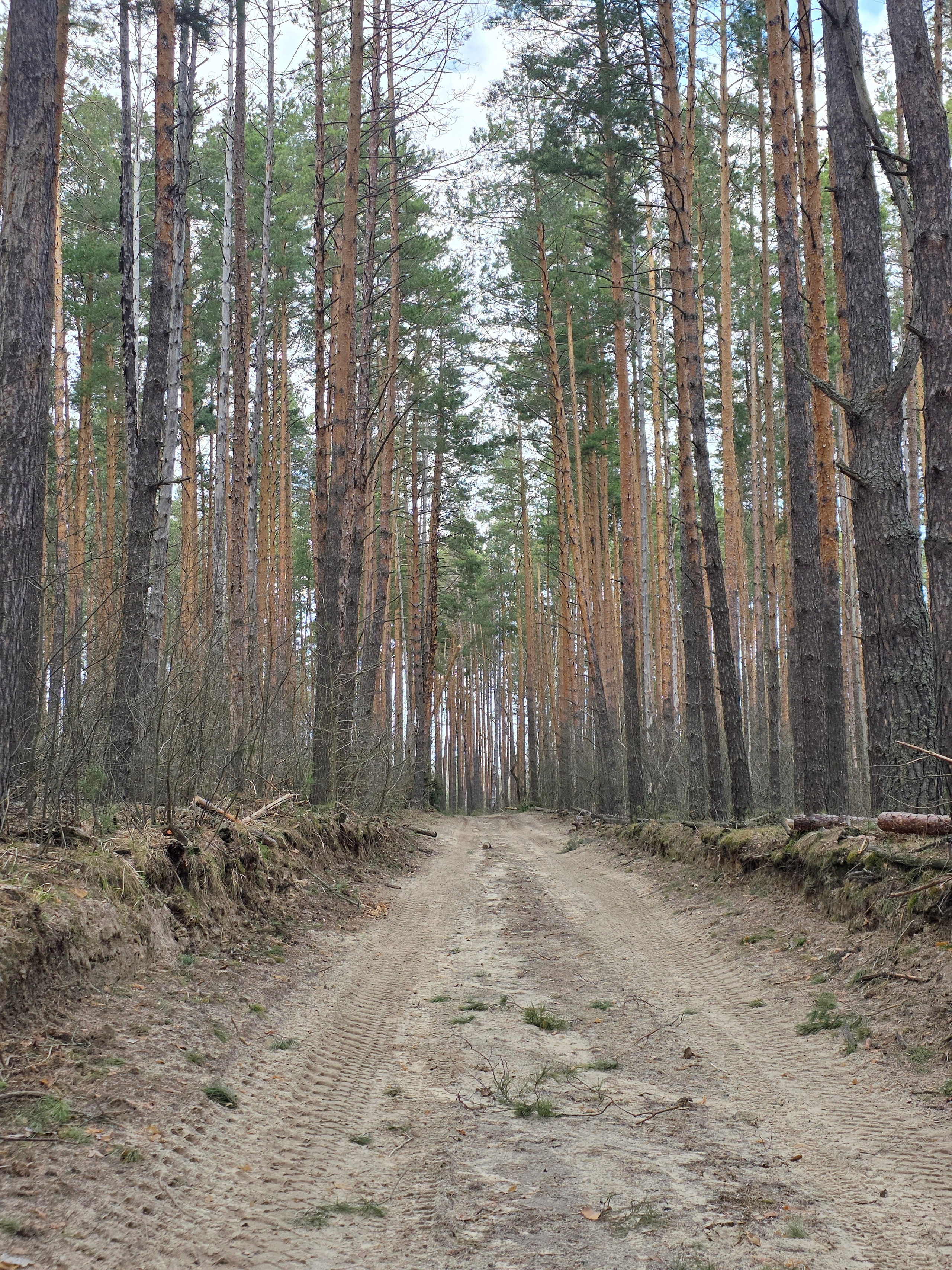 Пейзаж. Фотохудожник BID