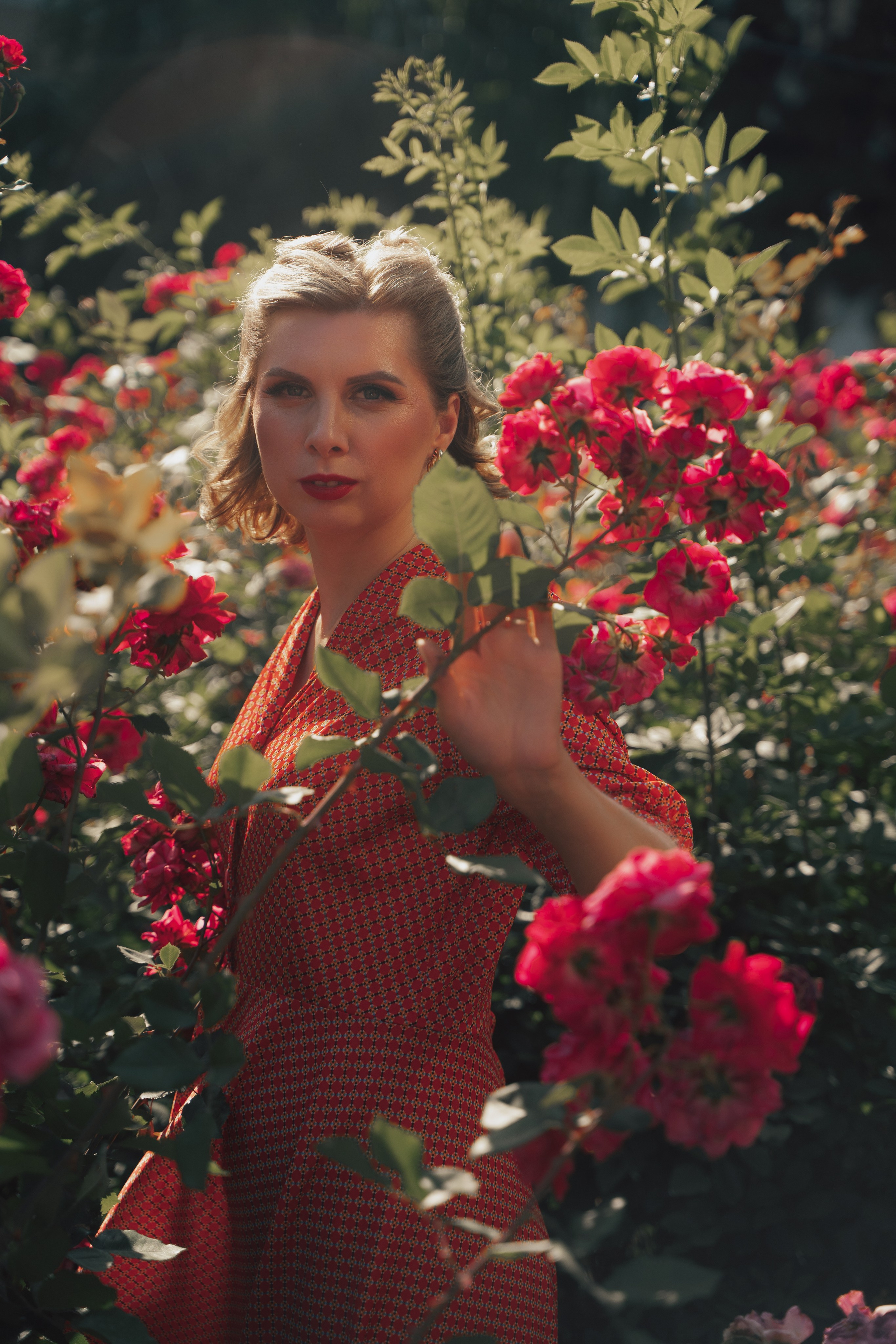 Розы. Фотограф Мария Зайчик